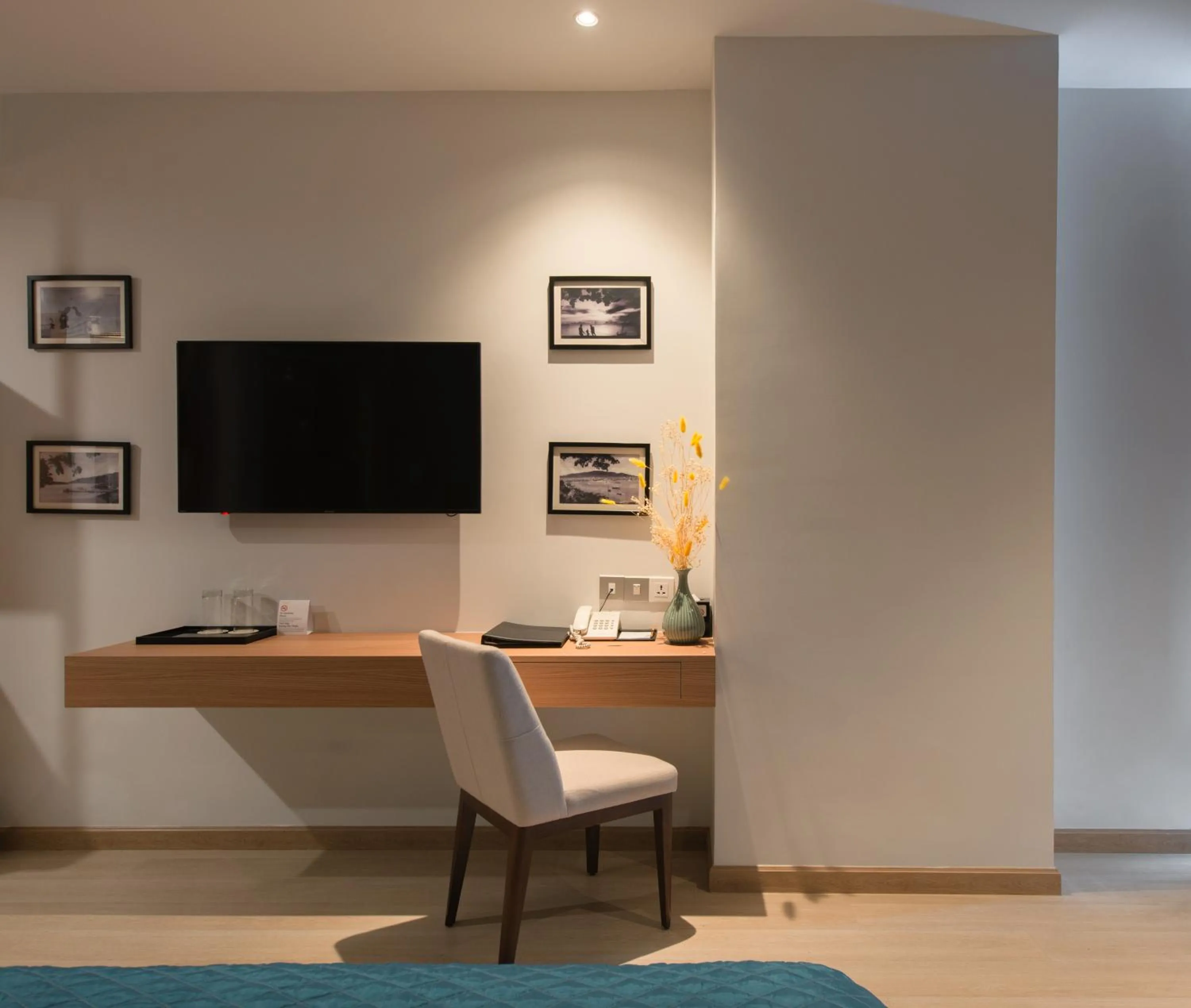 TV and multimedia in Navada Beach Hotel