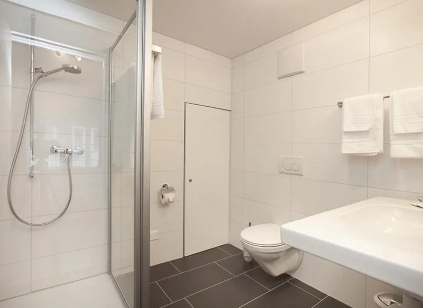 Double Room with Private Bathroom - single occupancy in Hotel Taverne zum Kreuz