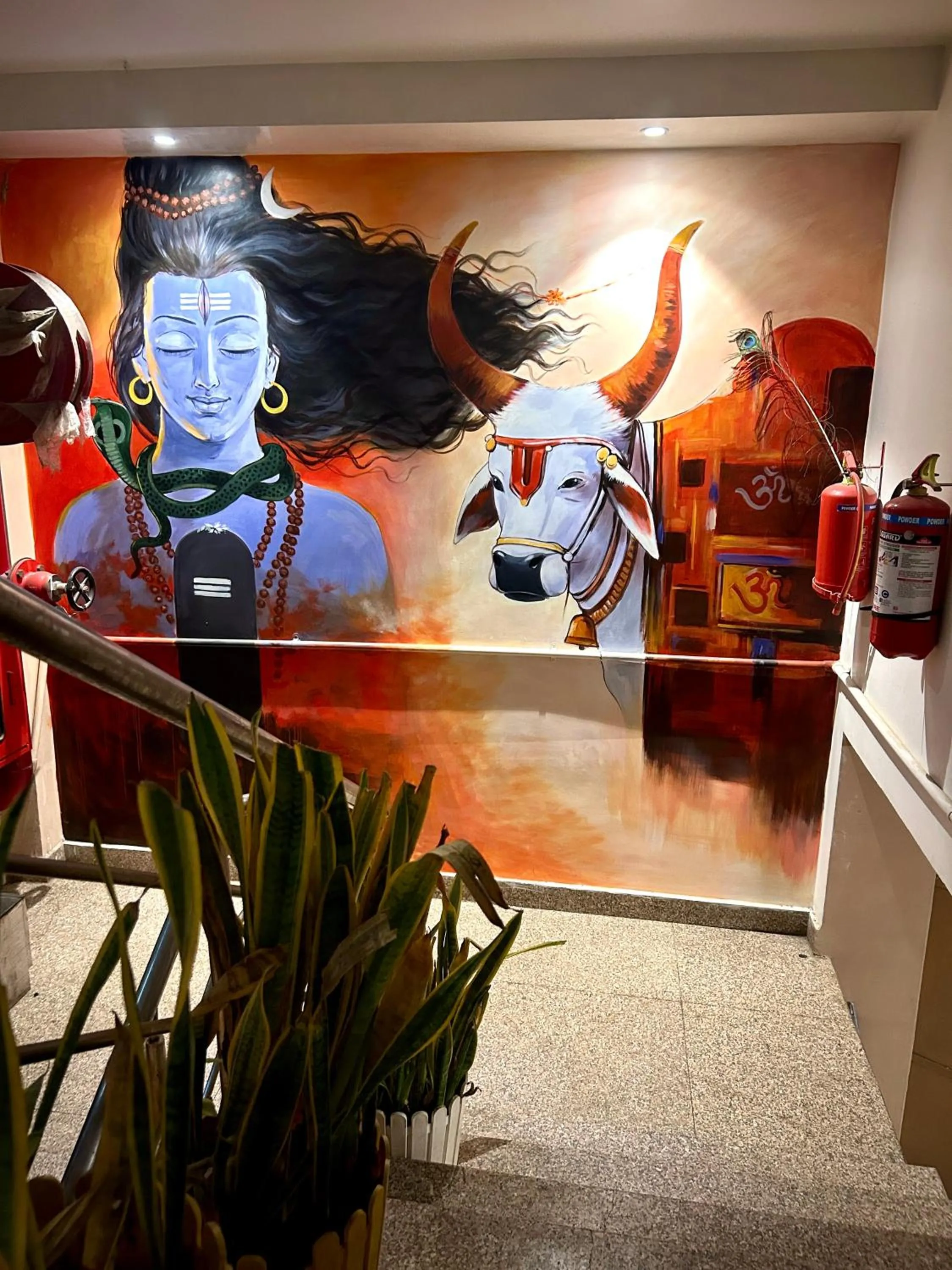 Property building in Sugar Stars Inn