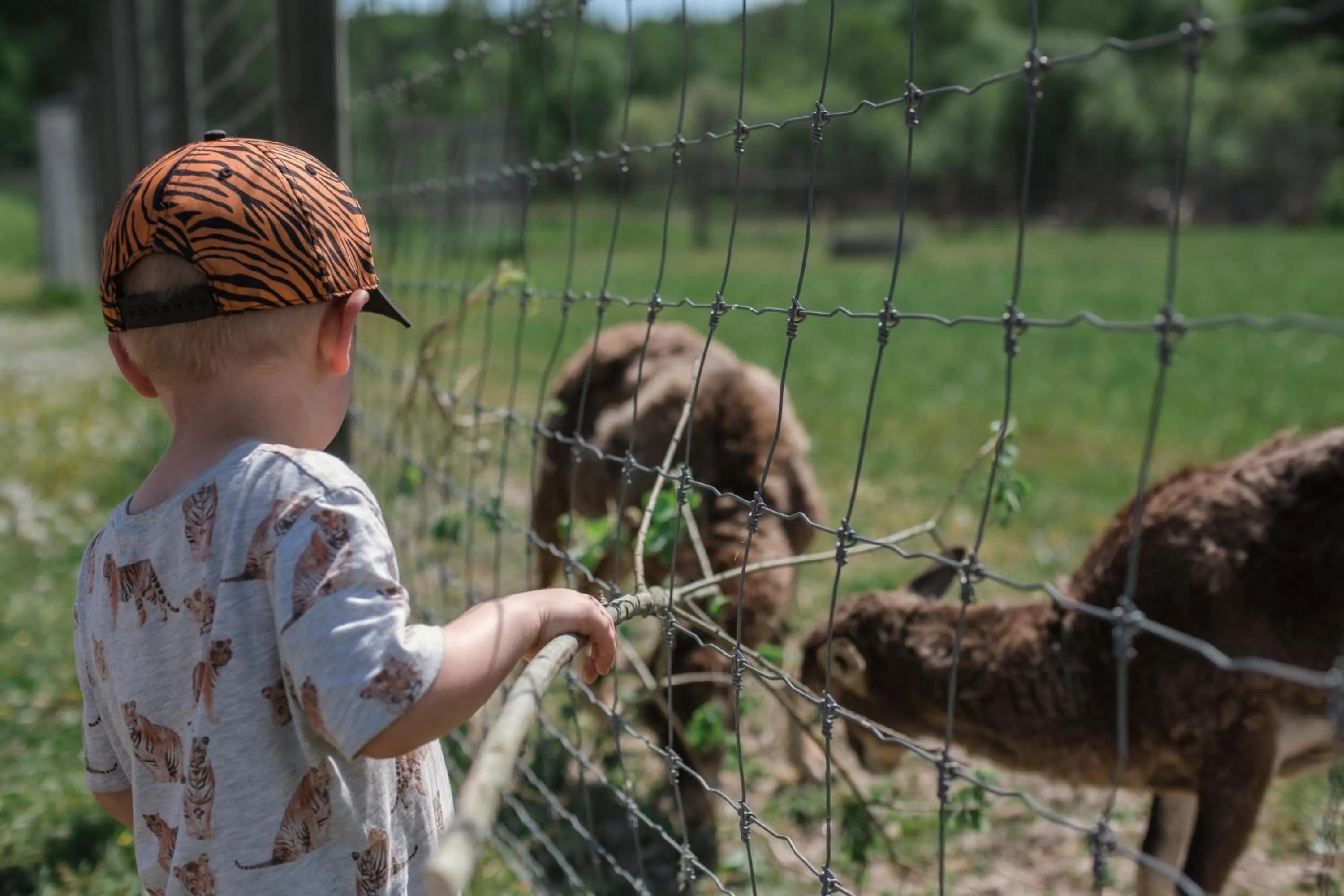 Activities in Öster Malma vandrarhem