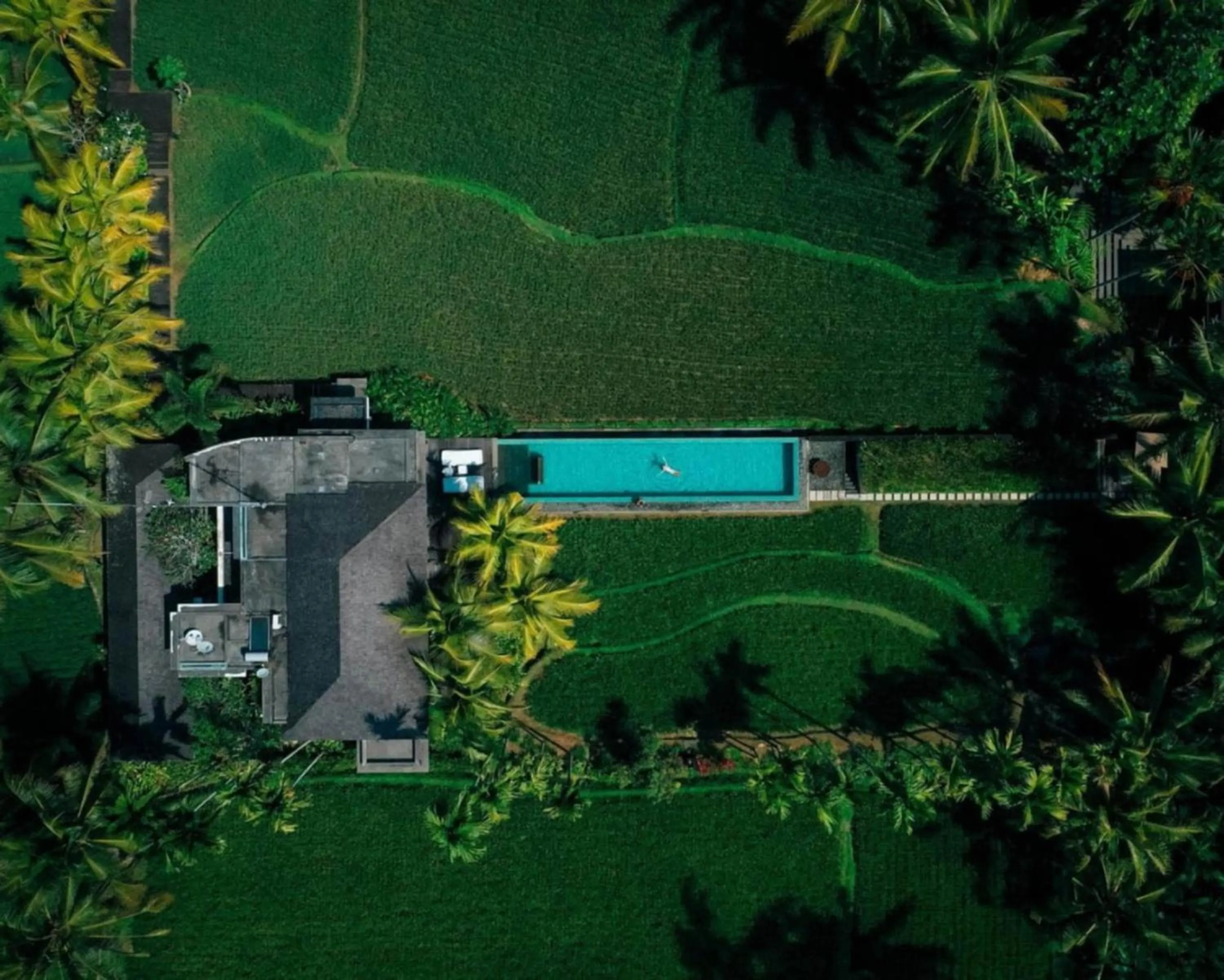 Bird's eye view in Uma Giri Villas Ubud by GenuineHost