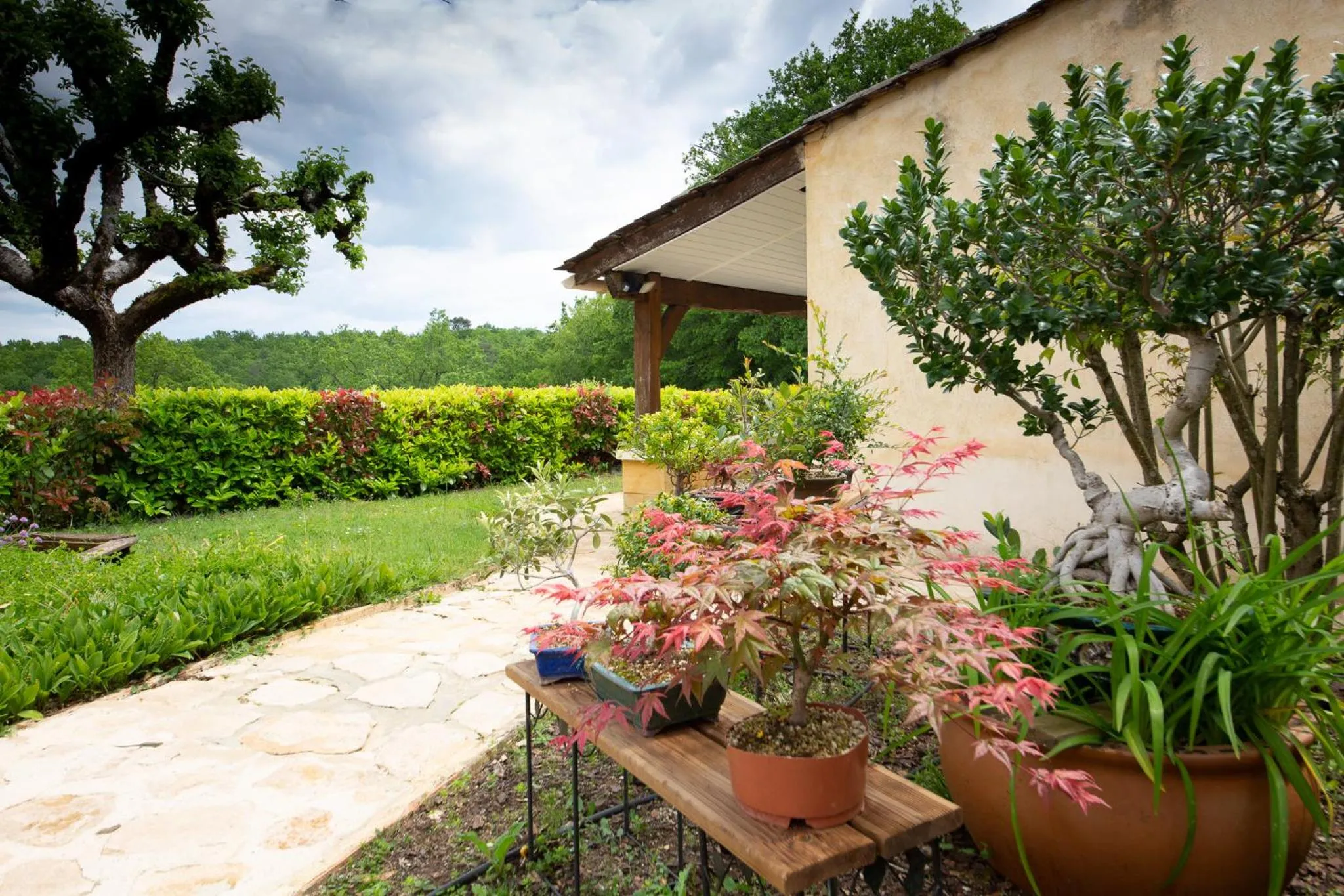 Garden in Hôtel de la Ferme Lamy