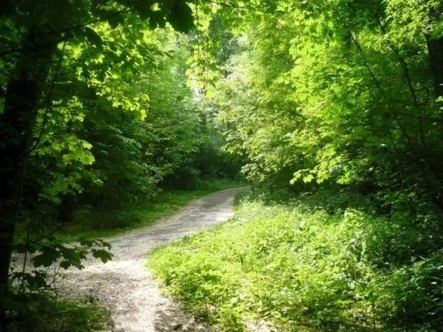Garden in Houseboat Vliegenbos