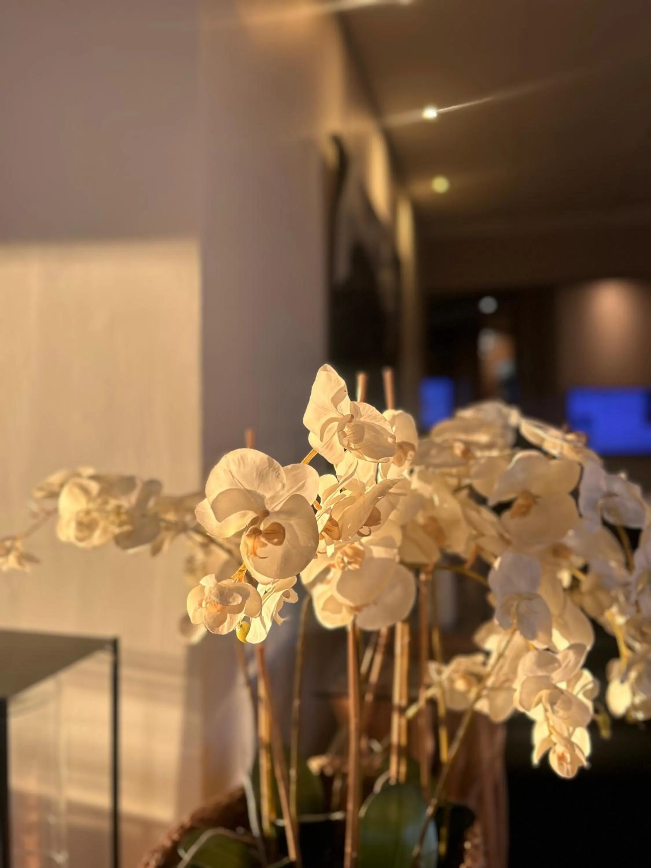 The Originals Boutique, Hôtel Neptune, Montpellier Sud