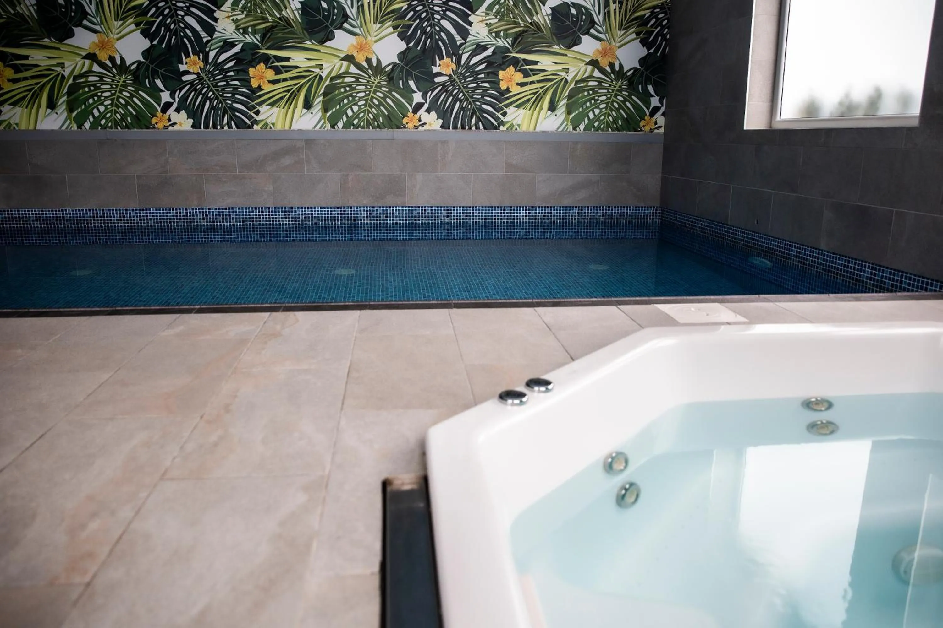 Swimming pool in Jurajski Kryształ