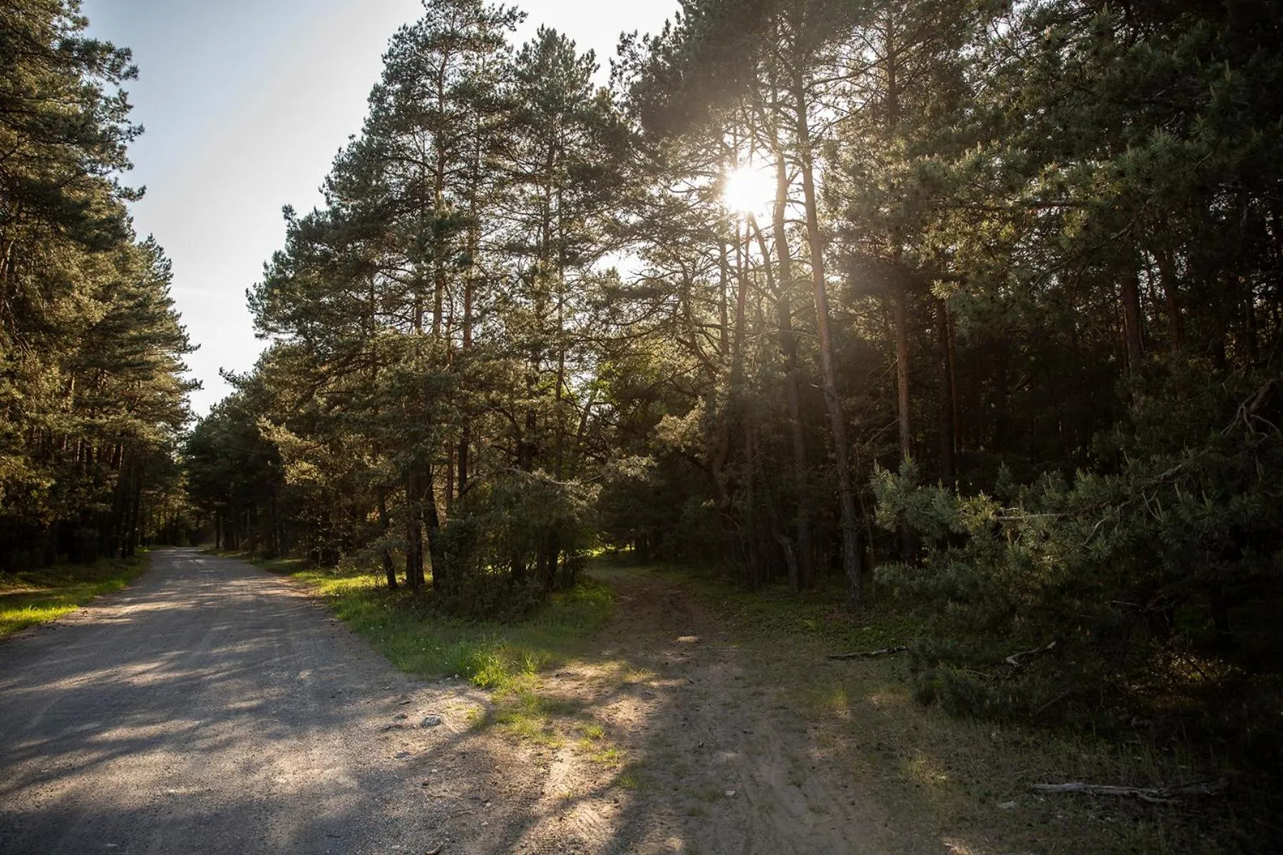 Area and facilities in Jurajski Kryształ