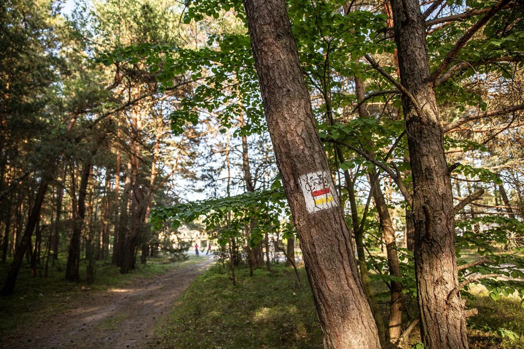 Area and facilities in Jurajski Kryształ