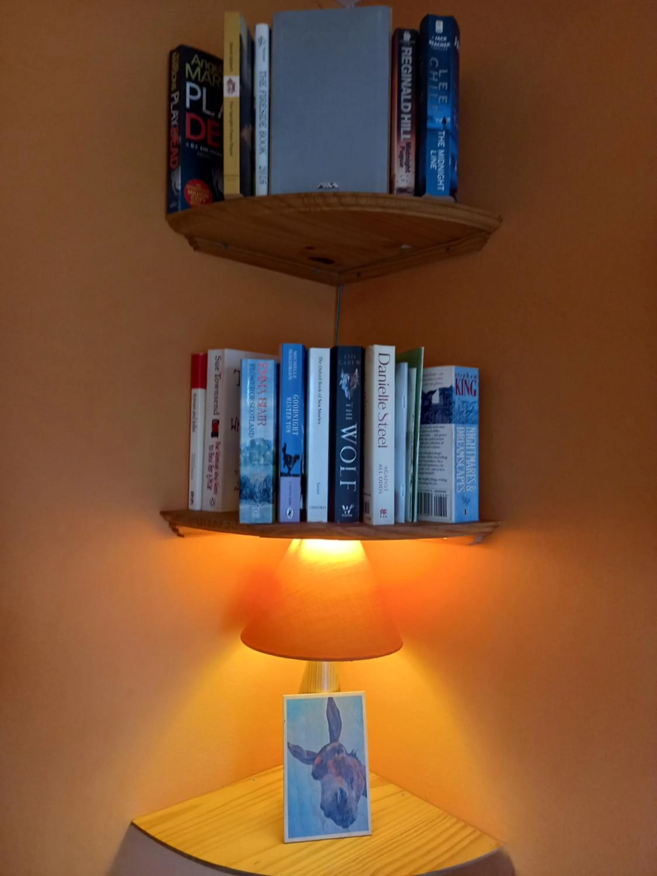Library in Bray Cottage