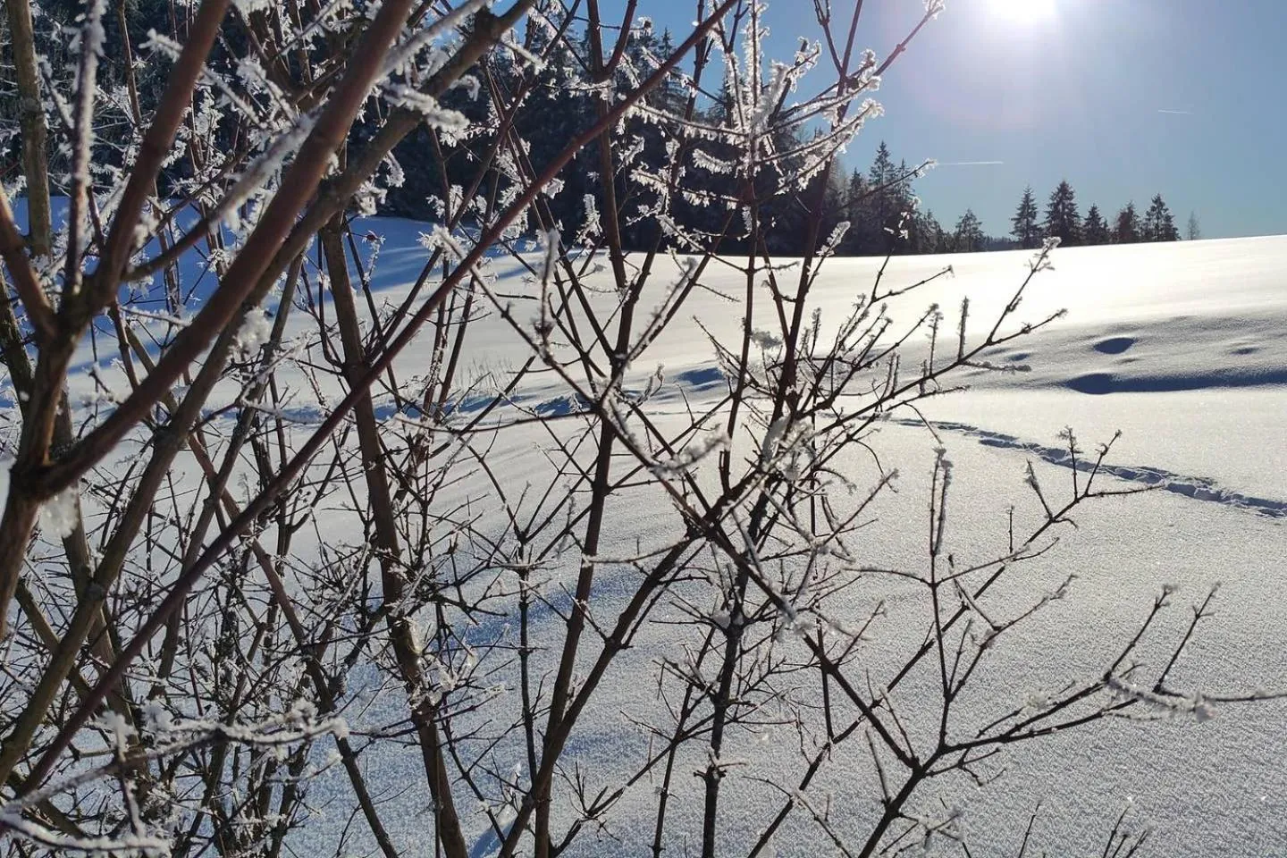 Winter in Chalet Hinterbreiteneben