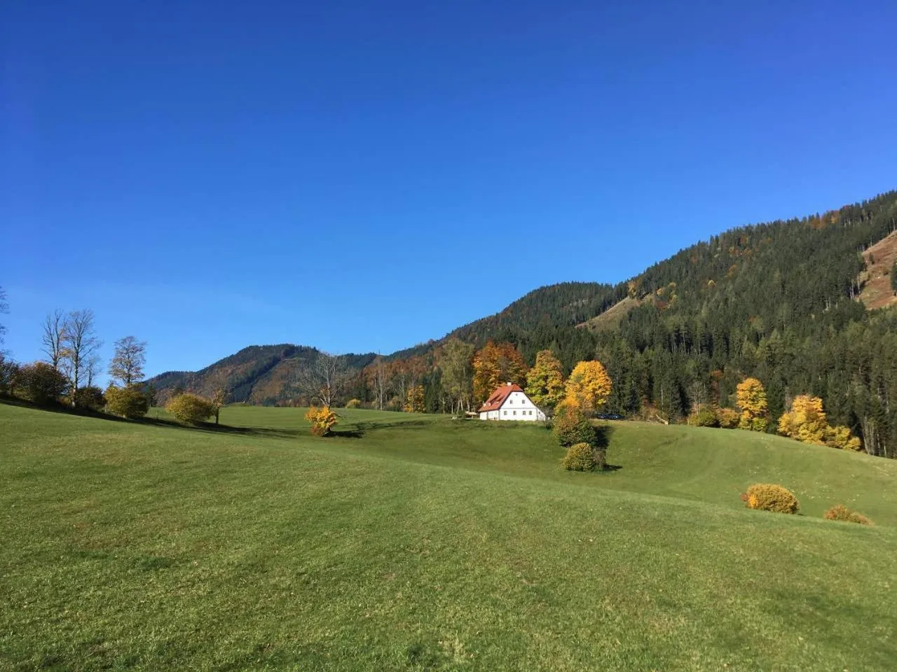 Property building in Chalet Hinterbreiteneben