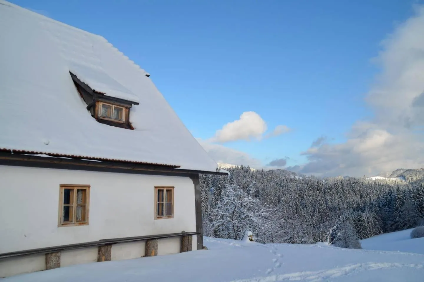 Property building in Chalet Hinterbreiteneben