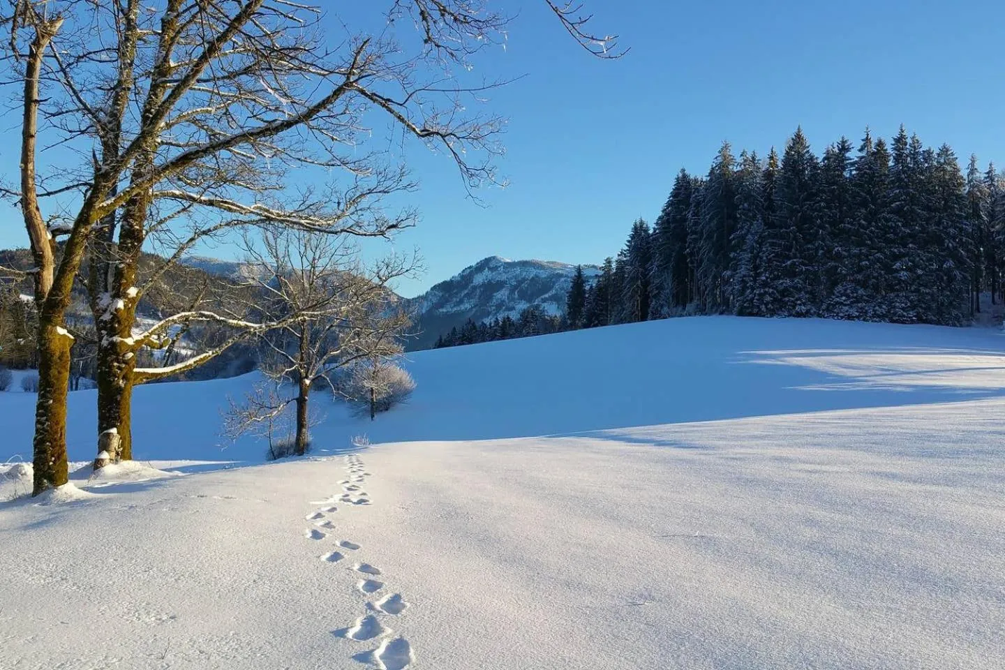Natural landscape in Chalet Hinterbreiteneben