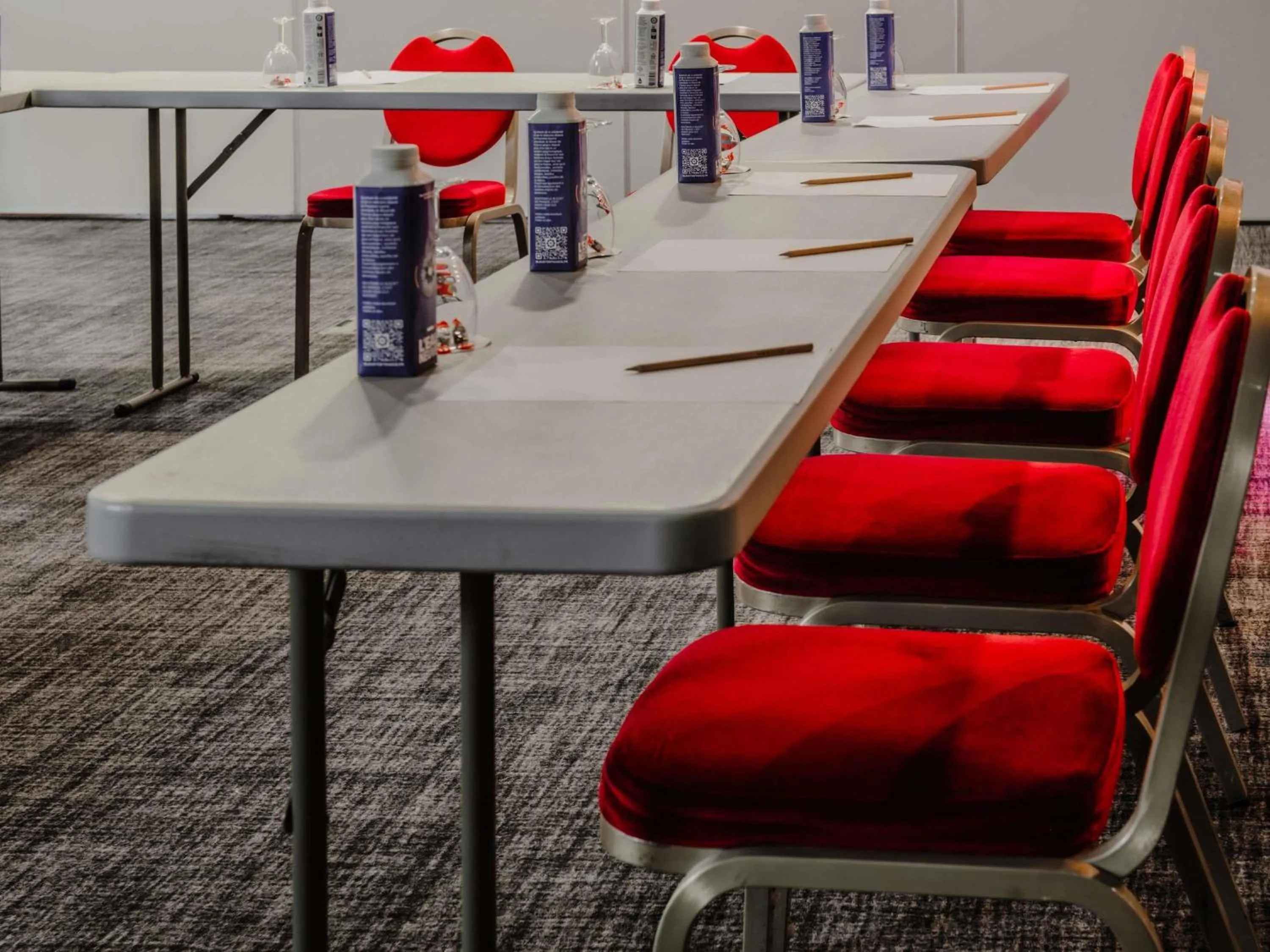 Meeting/conference room in Mercure Annecy Sud