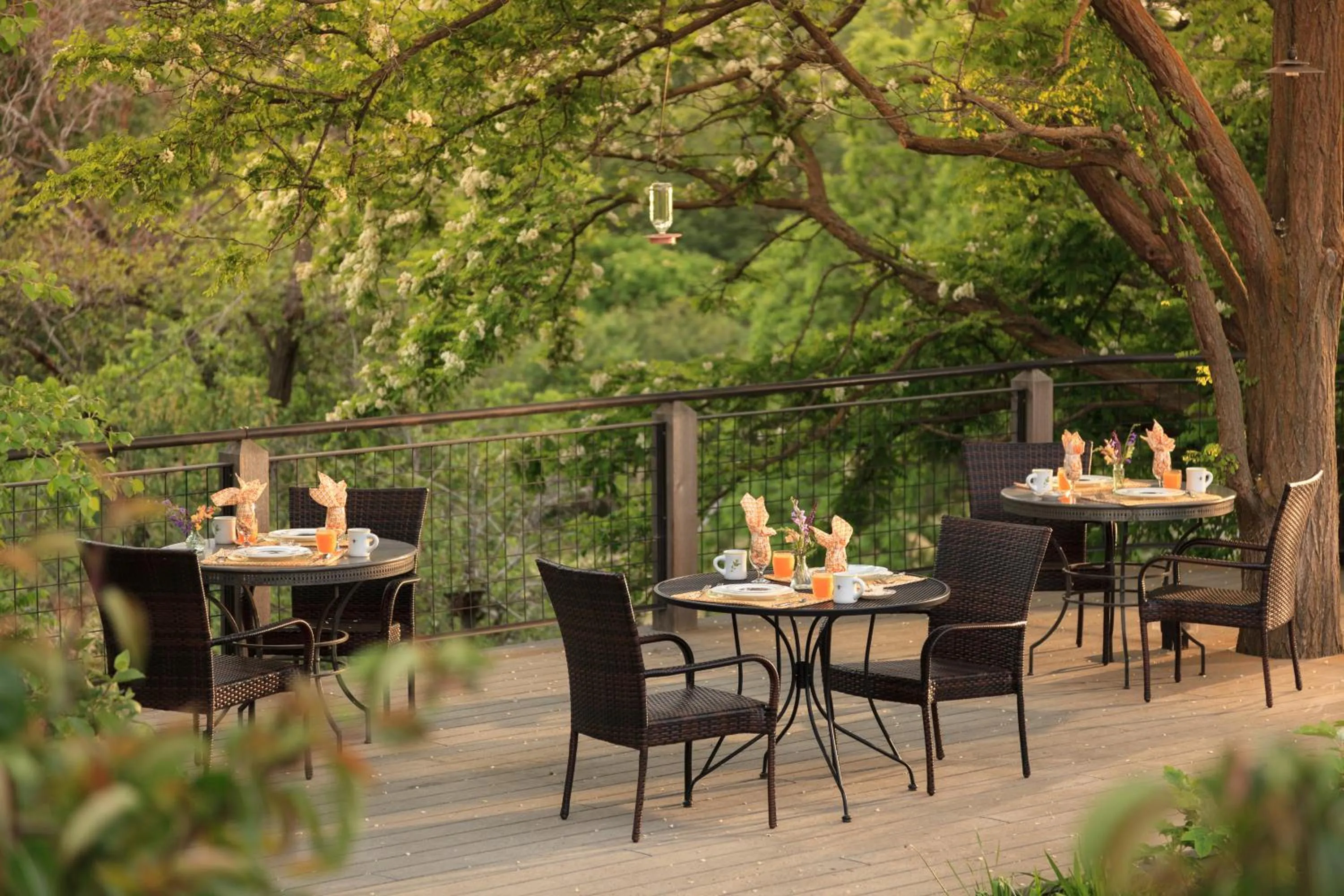 Balcony/Terrace in The Inn at Abeja