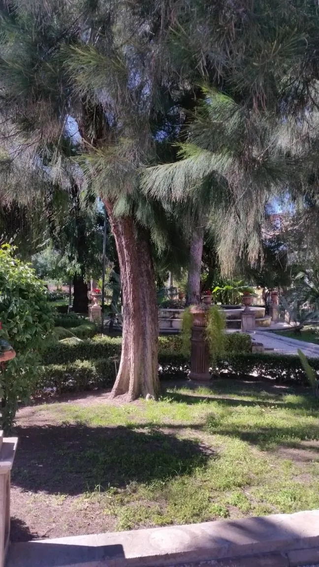 Other in Residenza Del Turista