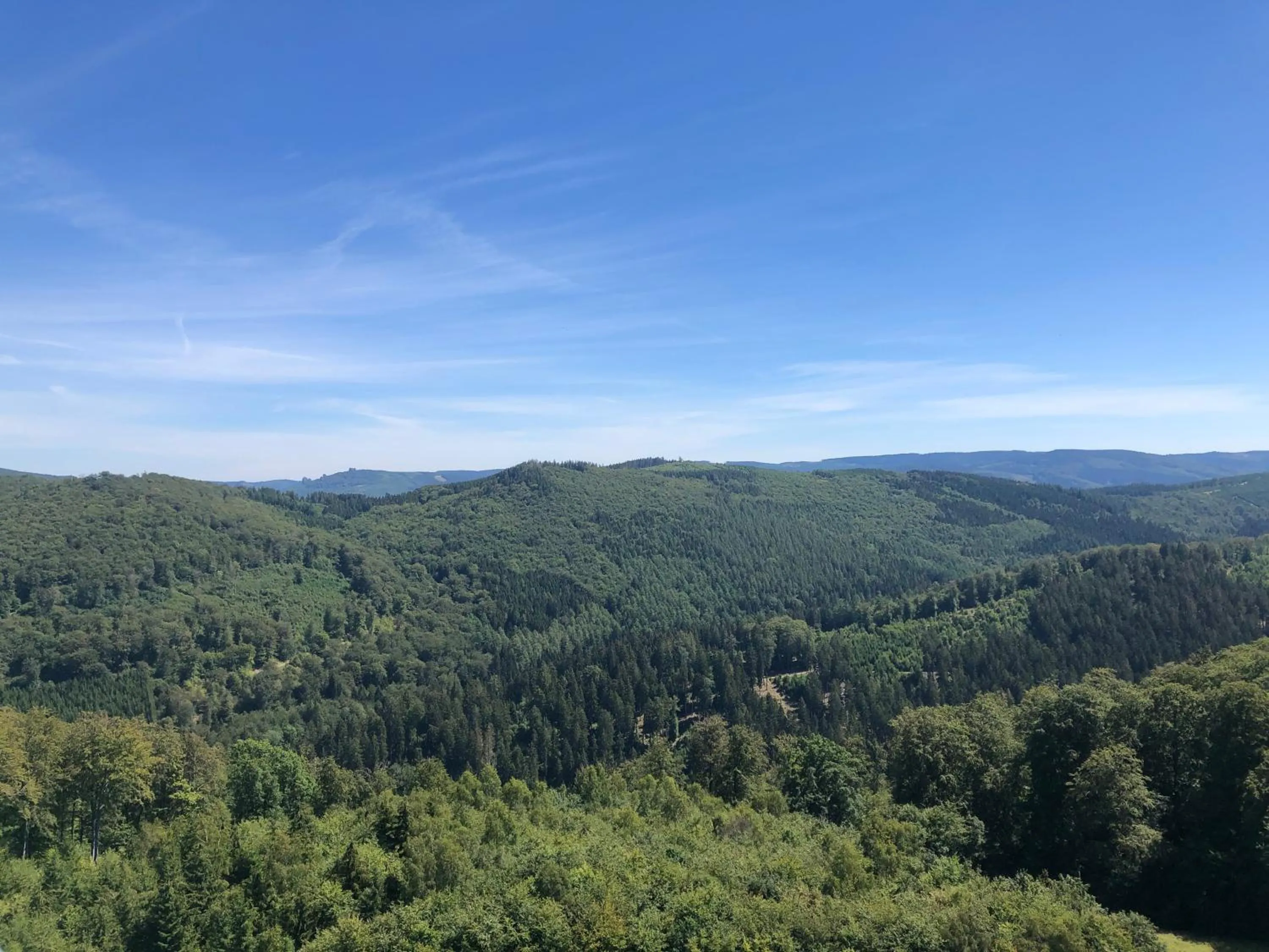Natural landscape in Alicia