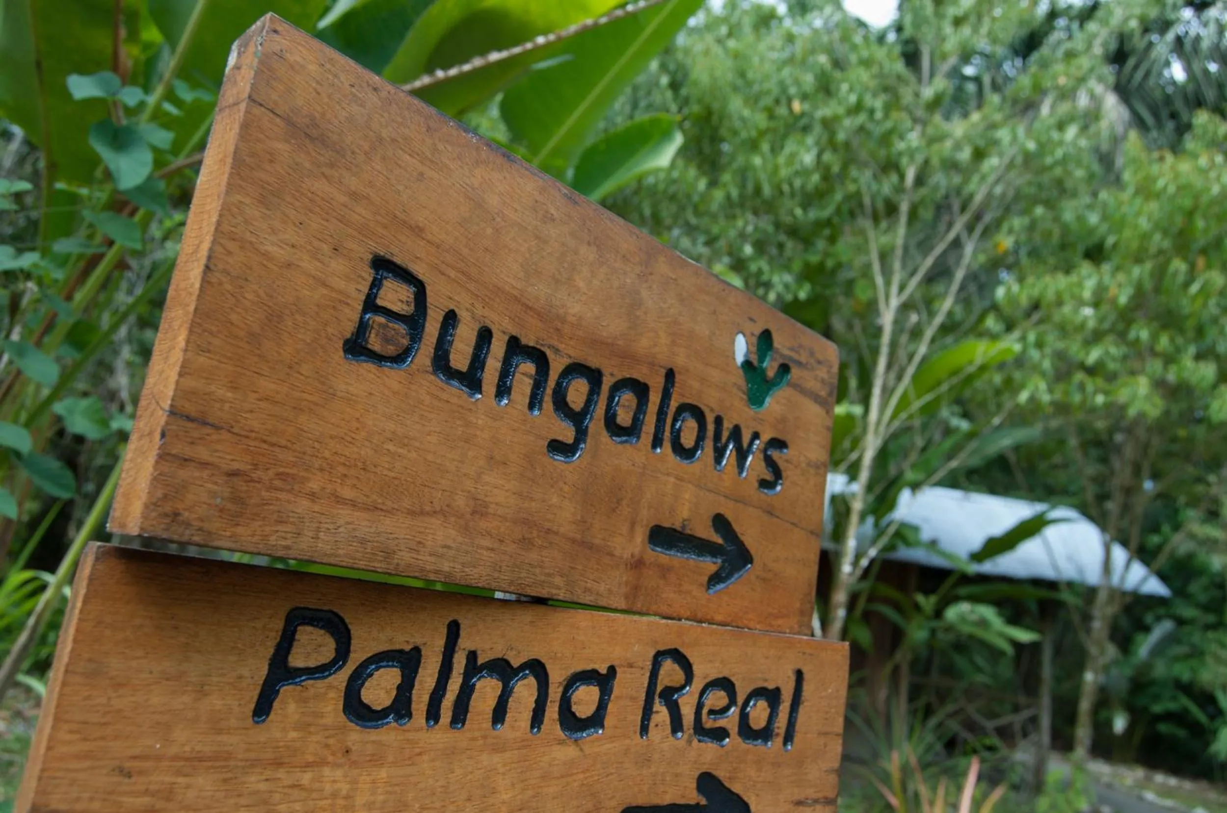 Facade/entrance in Danta Corcovado Lodge