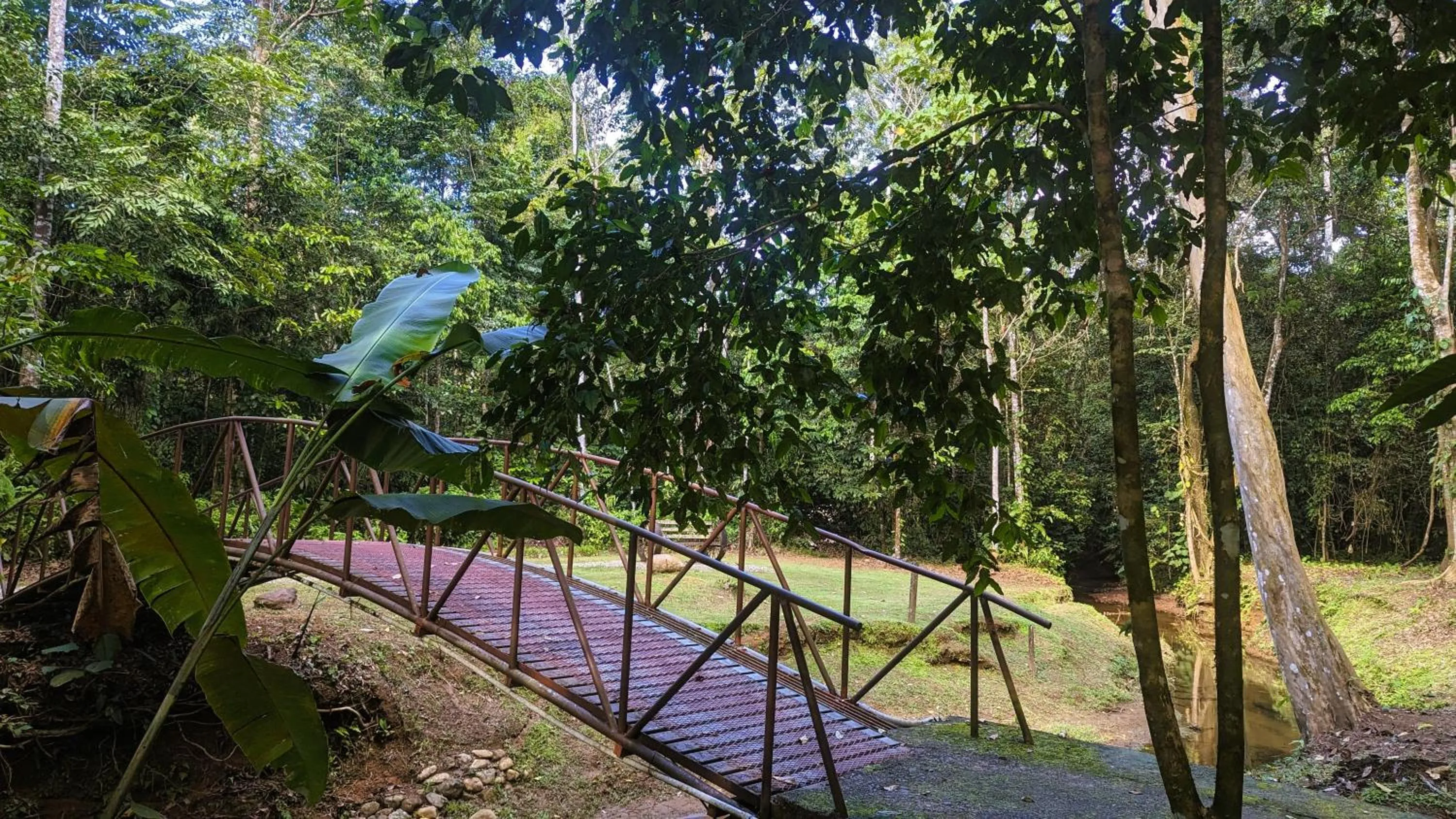 Patio in Danta Corcovado Lodge
