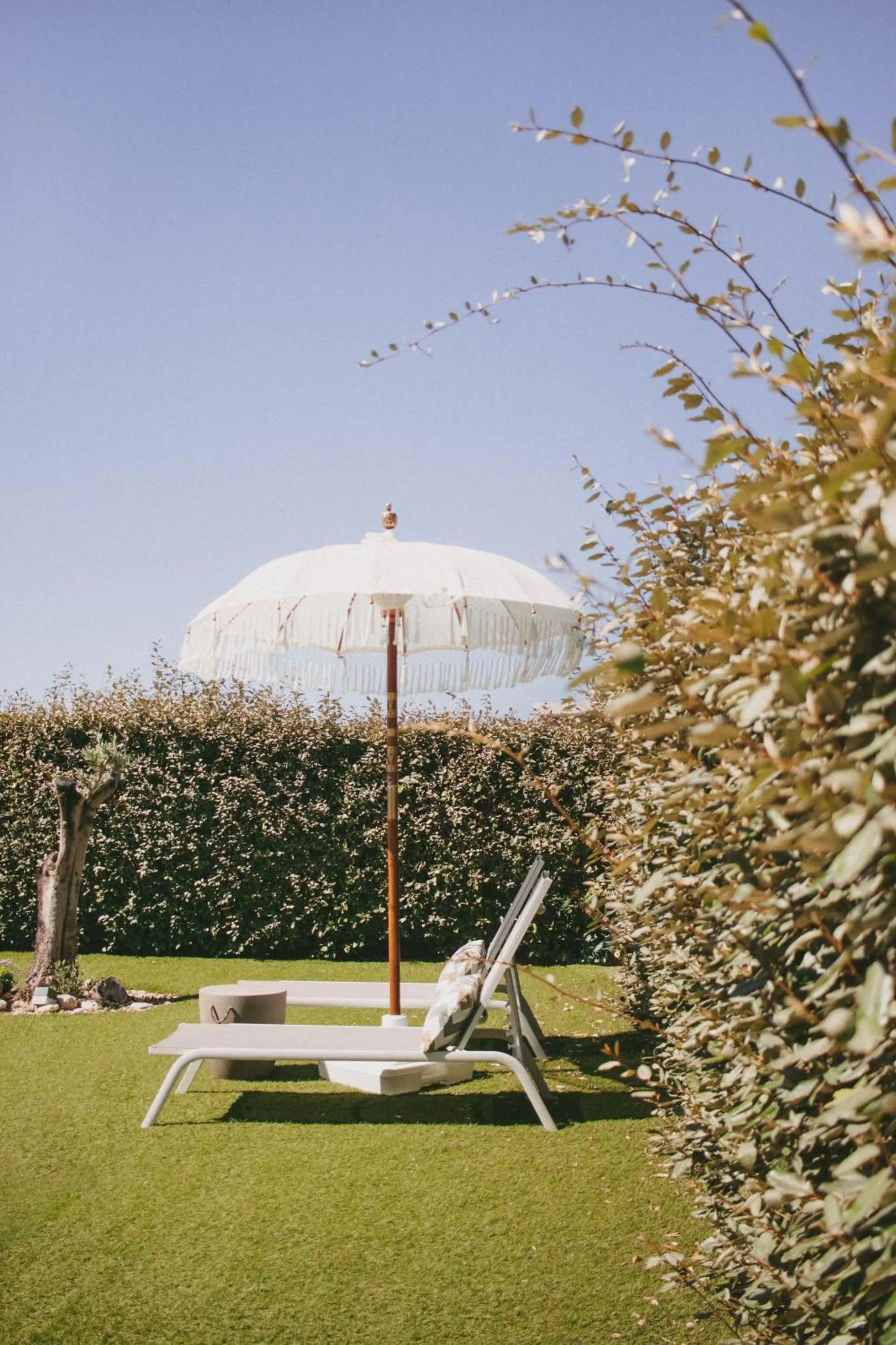 Garden in Casa LNNoa Boutique Room whit private pool