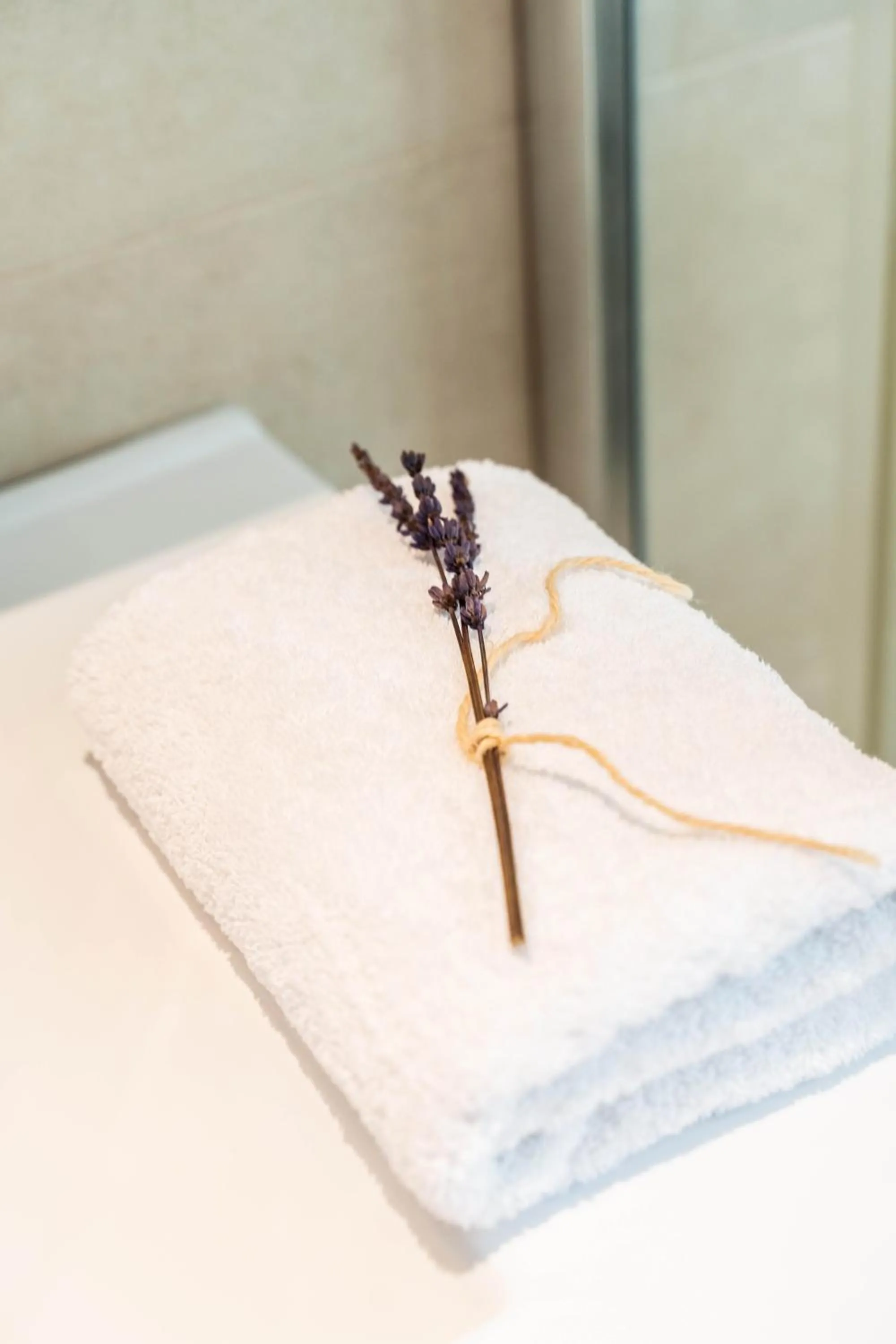 towels in Princess Kyniska Suites