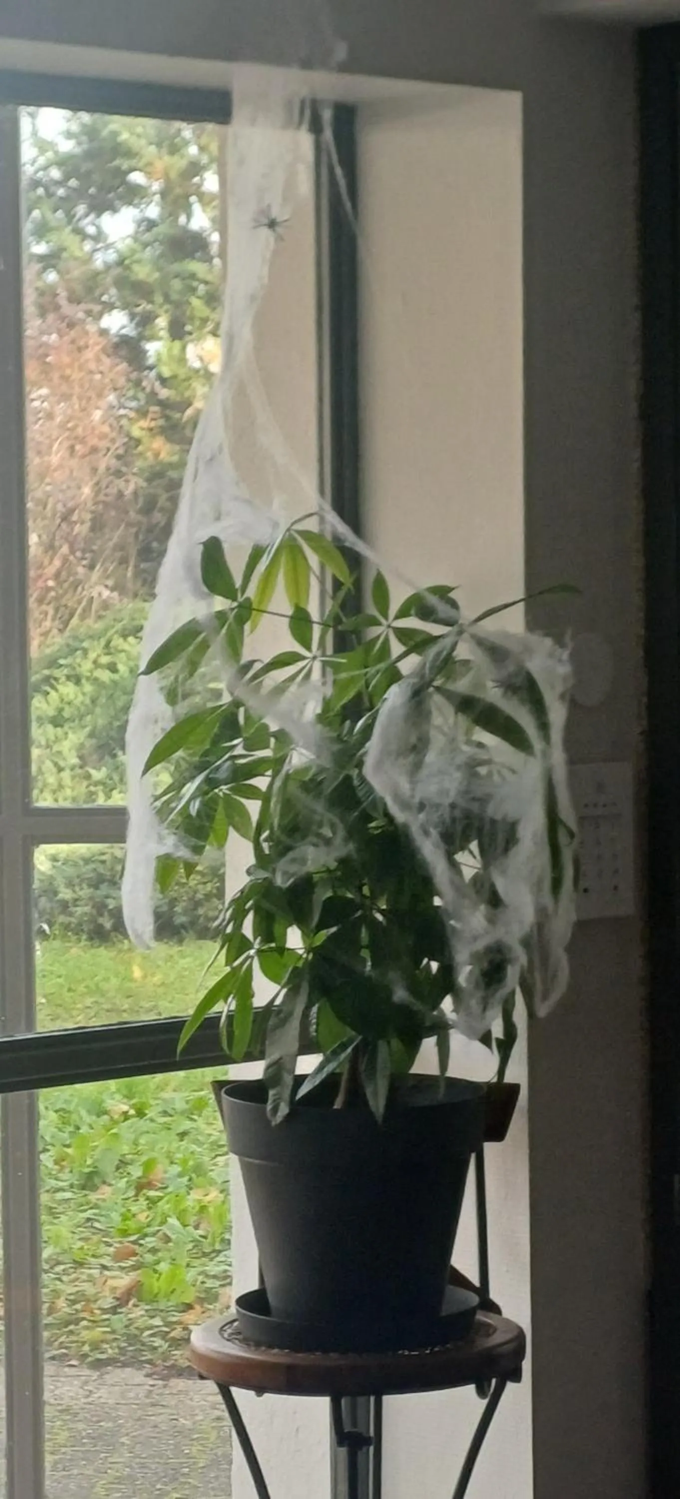 Garden view in The Originals Access, Hôtel Clermont-Ferrand Nord