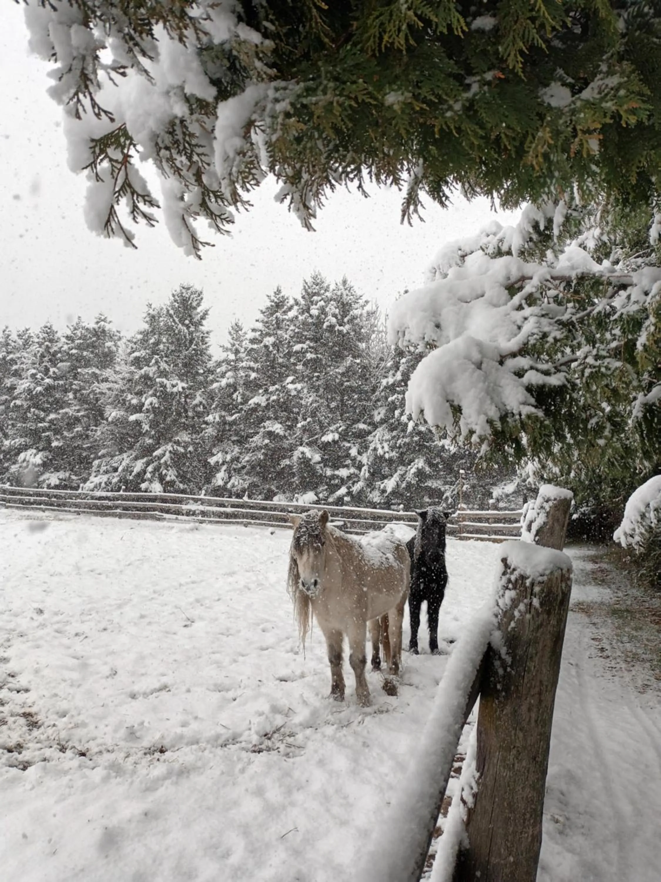 Winter in Pretty River Valley Country Inn