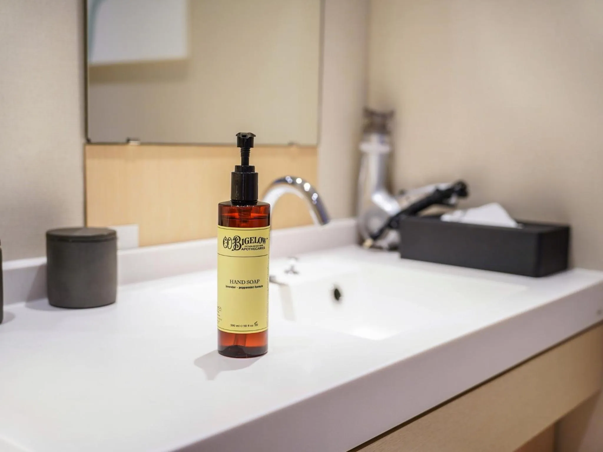 Public Bath in ibis Styles Tokyo Ginza East