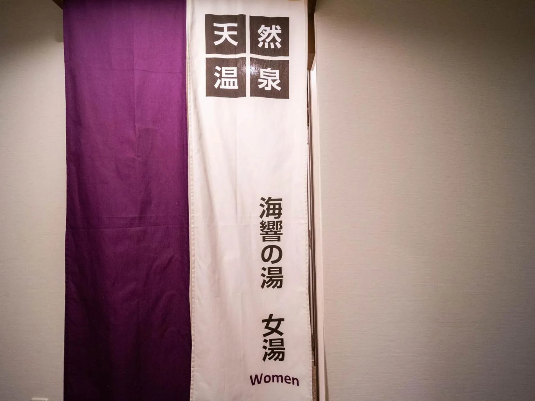 Hot Spring Bath in Super Hotel Premier Shimonoseki