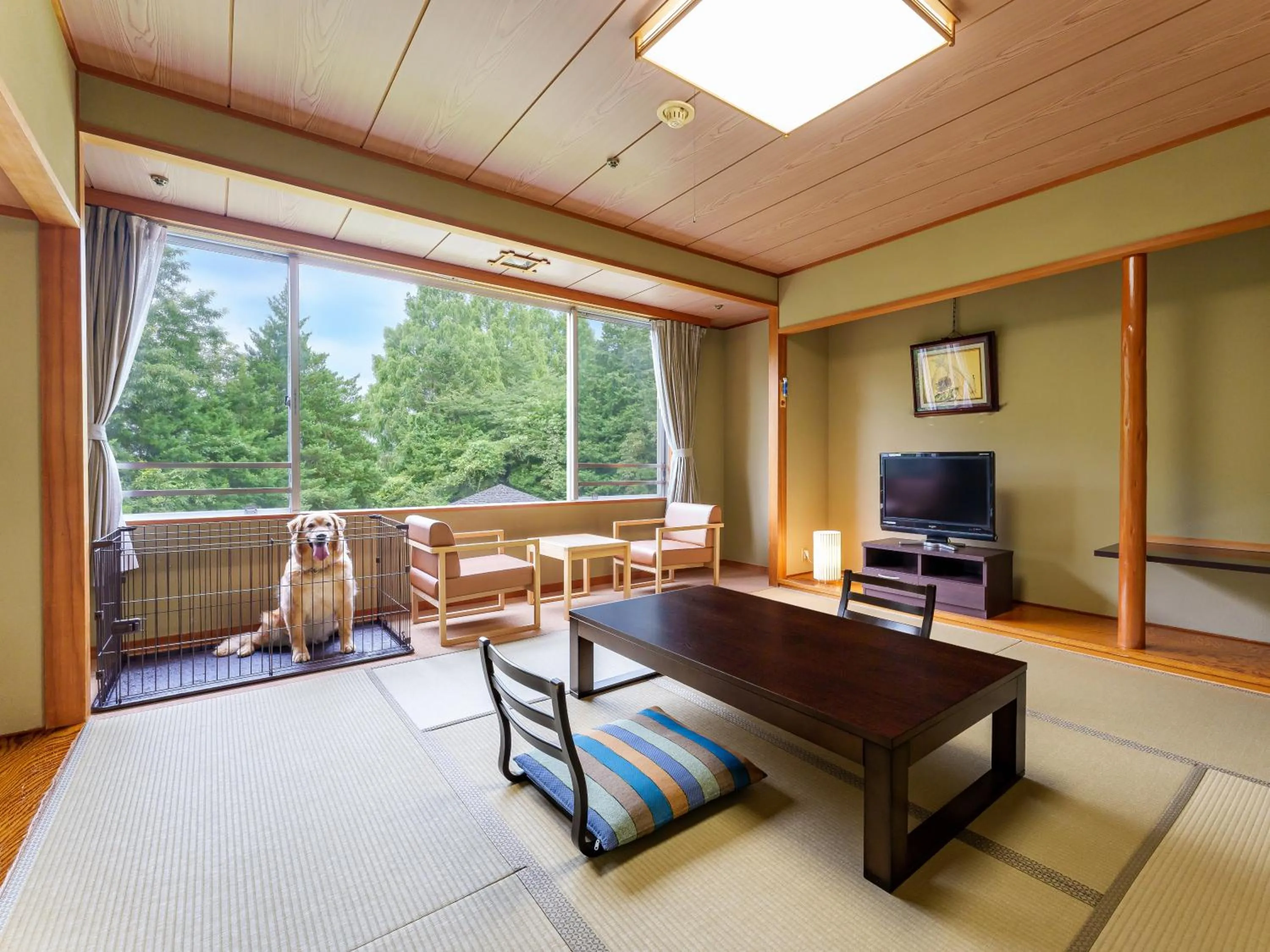 Photo of the whole room in KAMENOI HOTEL Kitsuregawa