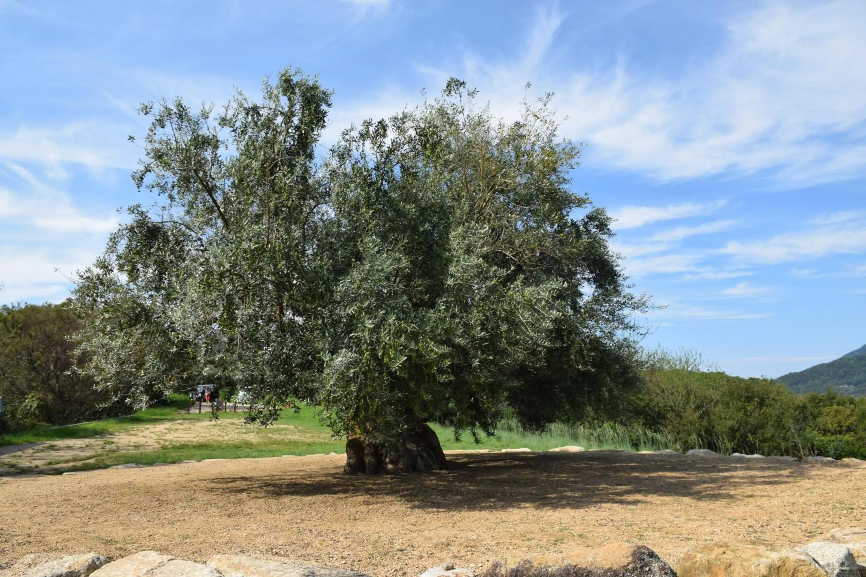 Natural landscape in Taiyou no Ouchi