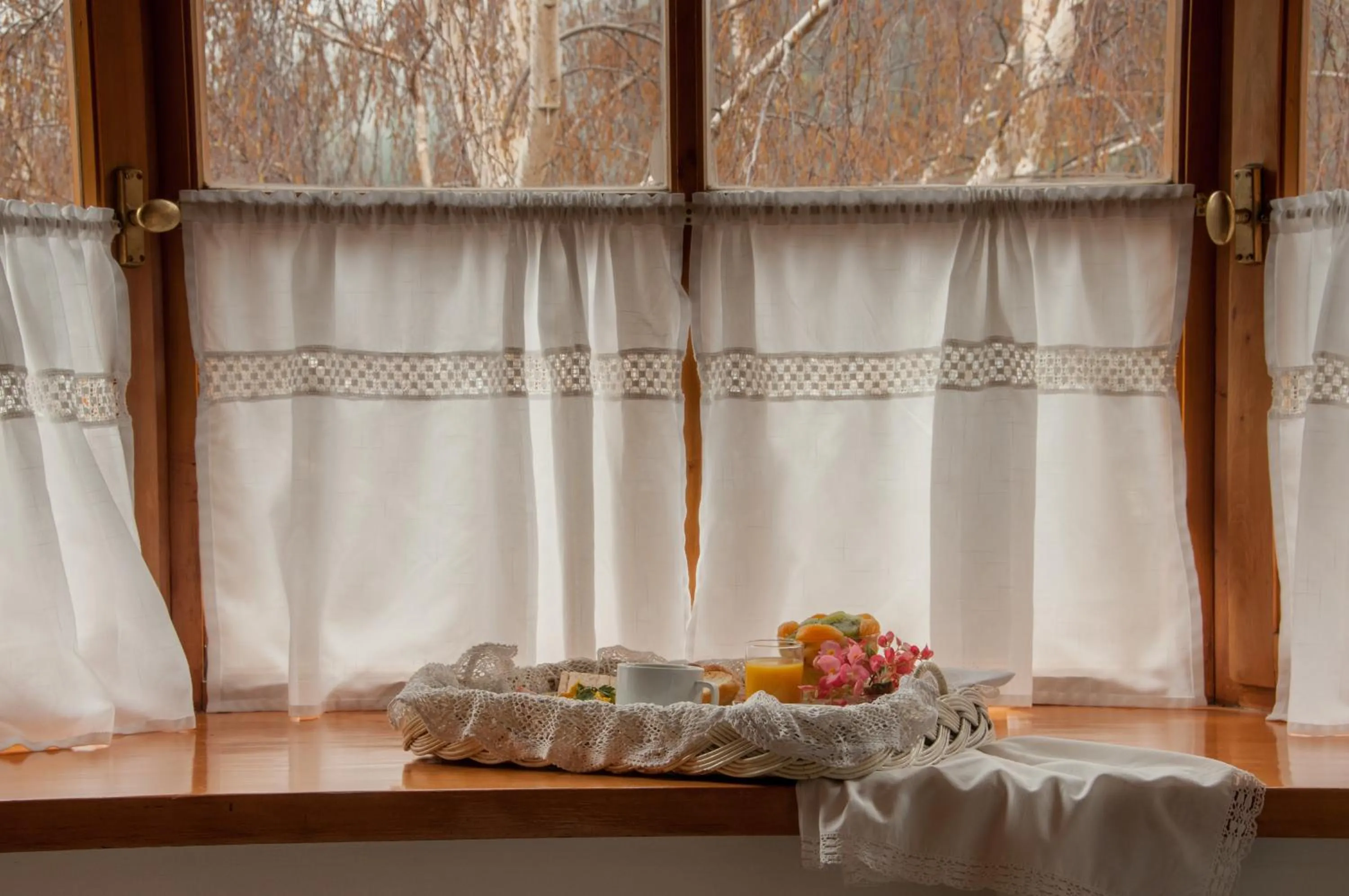 Food in Hostería El Arbol Duende