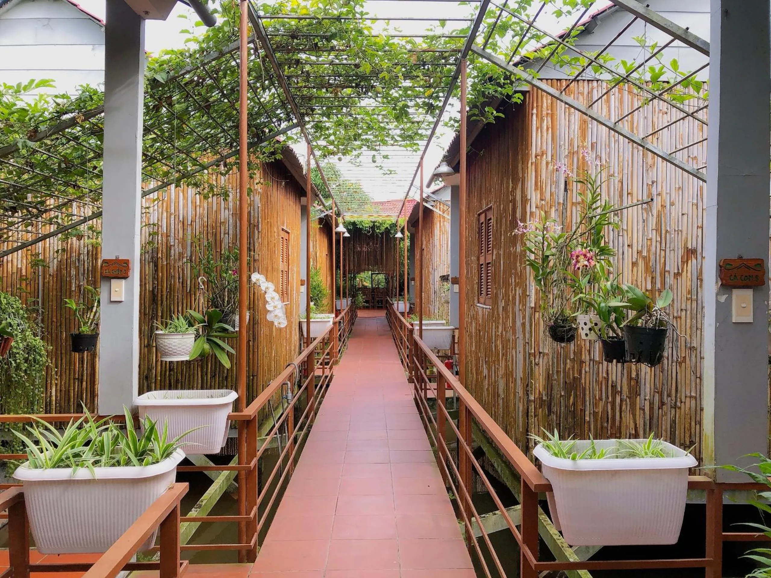 Property building in Cato Homestay