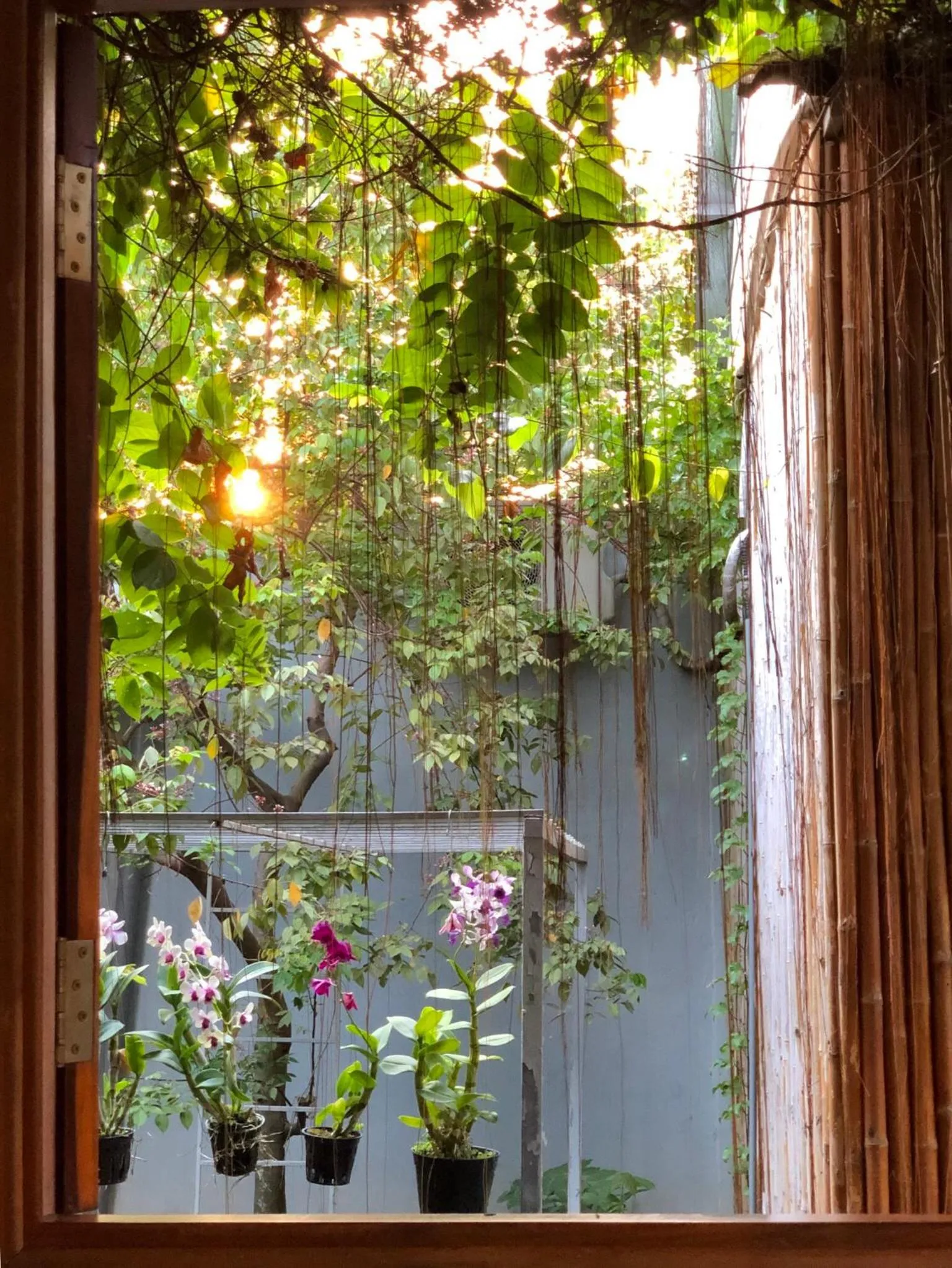 Natural landscape in Cato Homestay