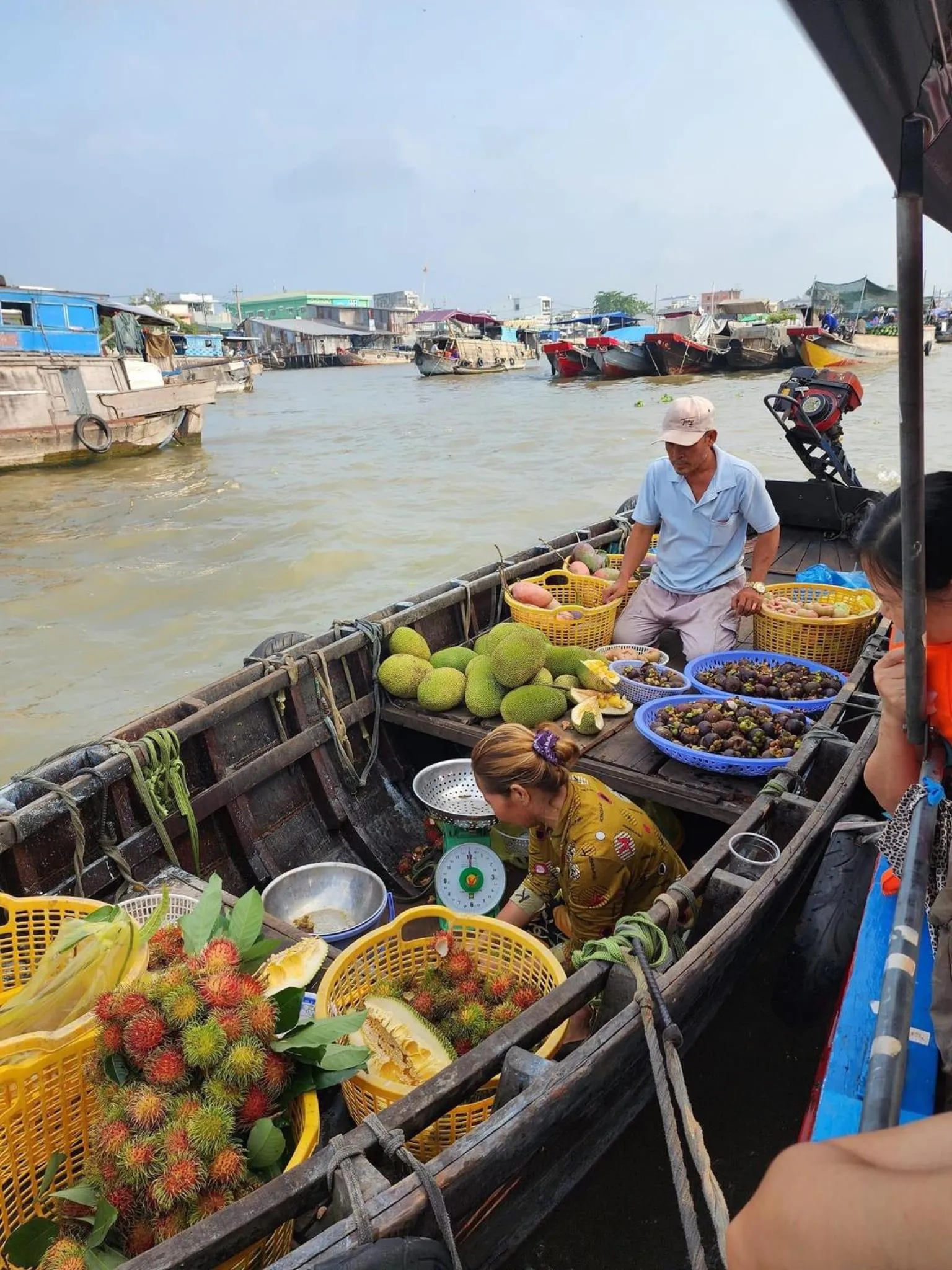 Day in Cato Homestay