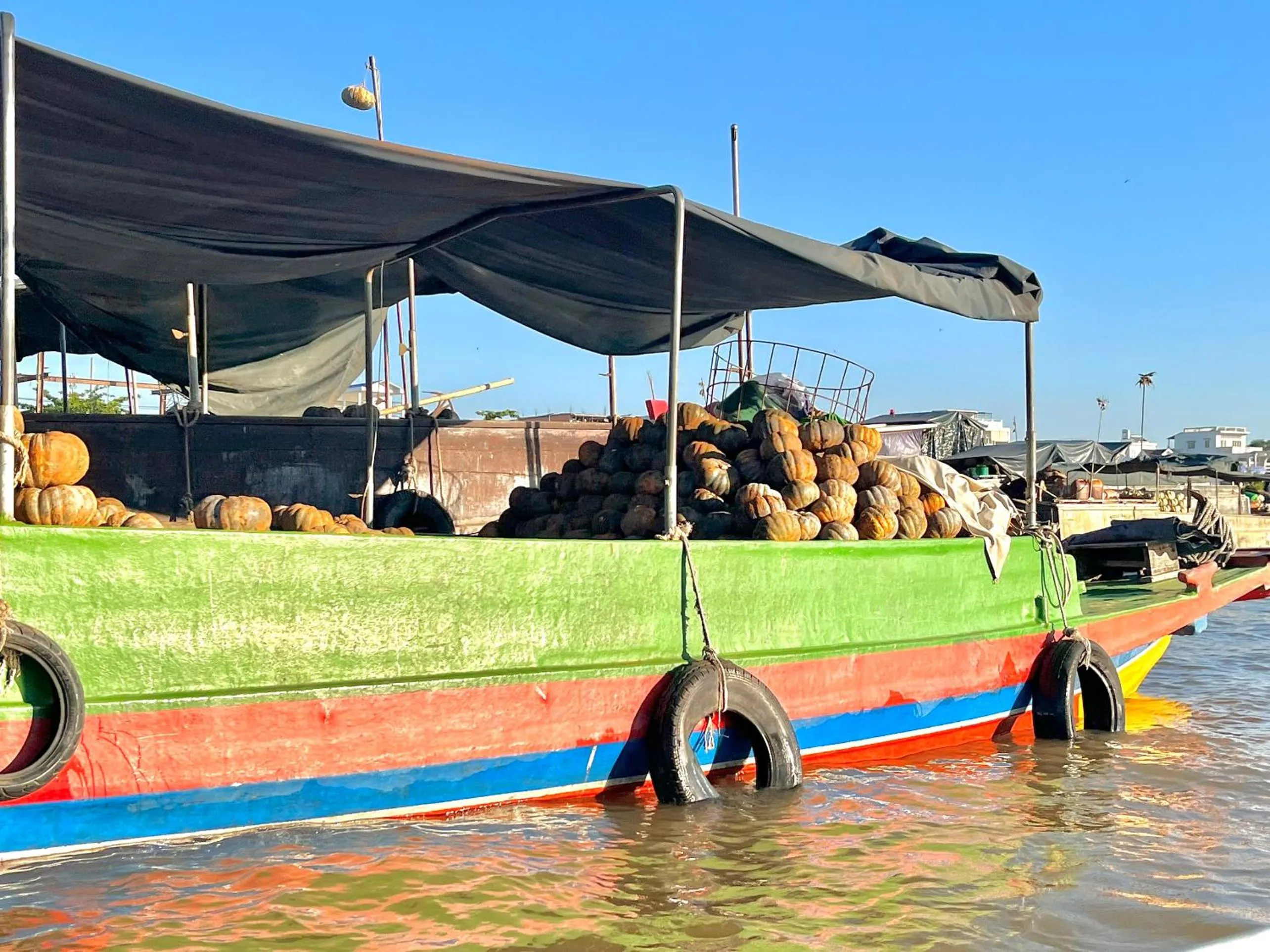 Day in Cato Homestay