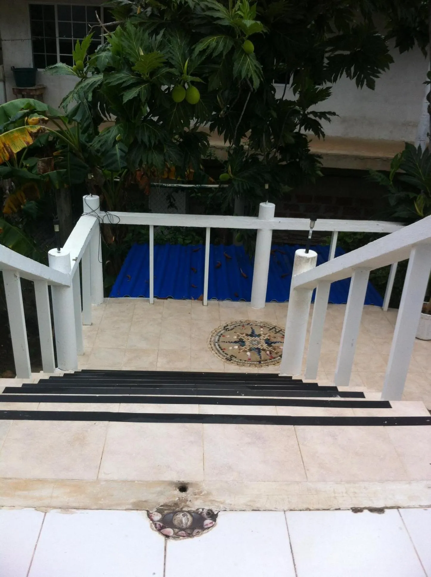 Patio in San Andres Ultd Inn RNT # 30017