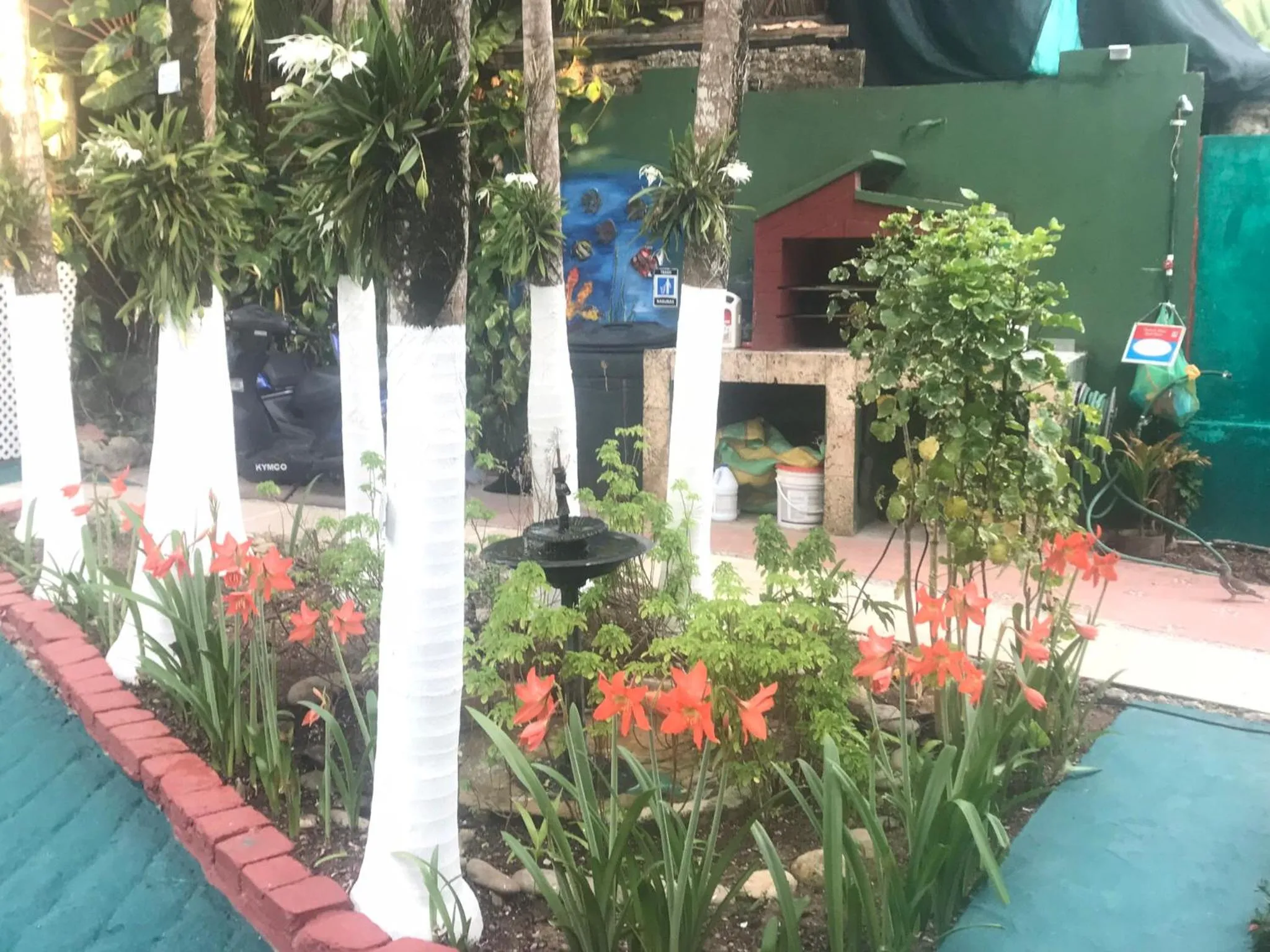 San Andres Ultd Inn RNT # 30017