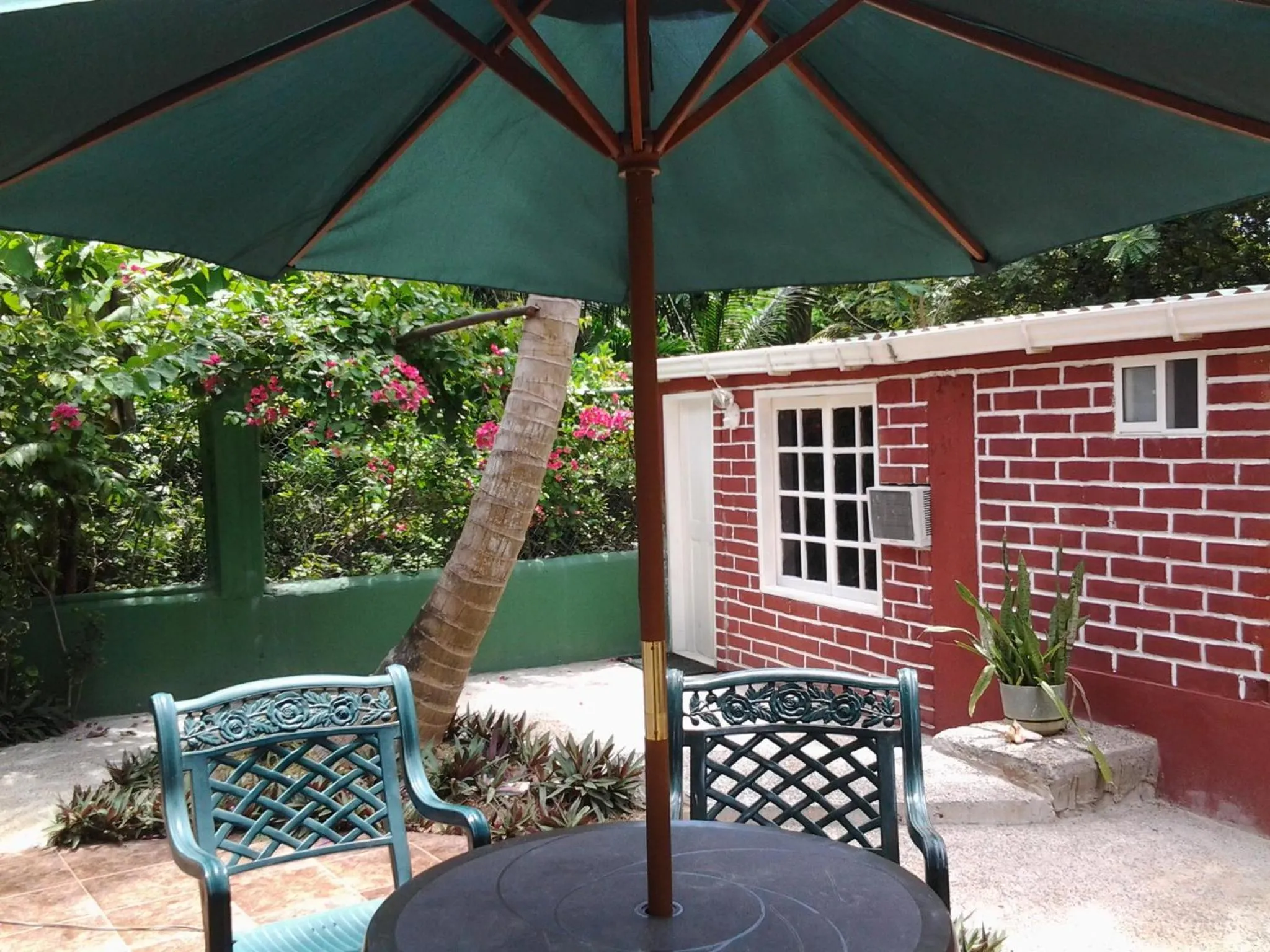 Patio in San Andres Ultd Inn RNT # 30017