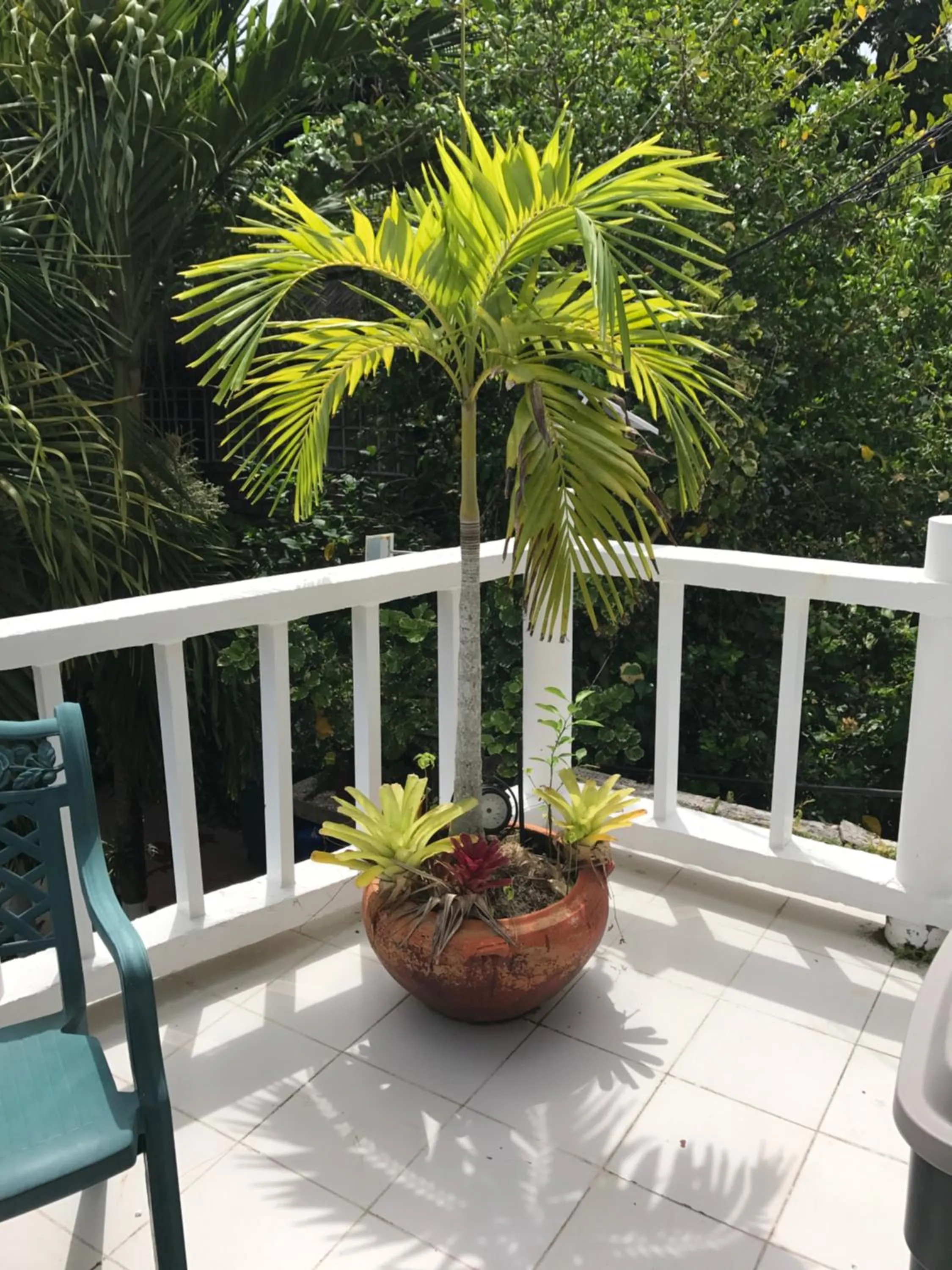 San Andres Ultd Inn RNT # 30017