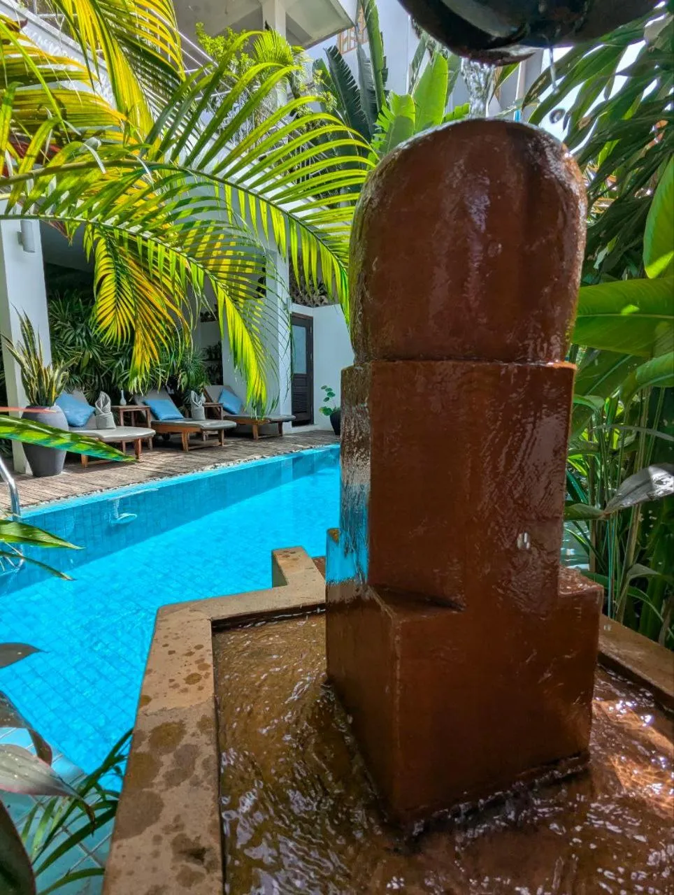 Garden in Baahu Villa