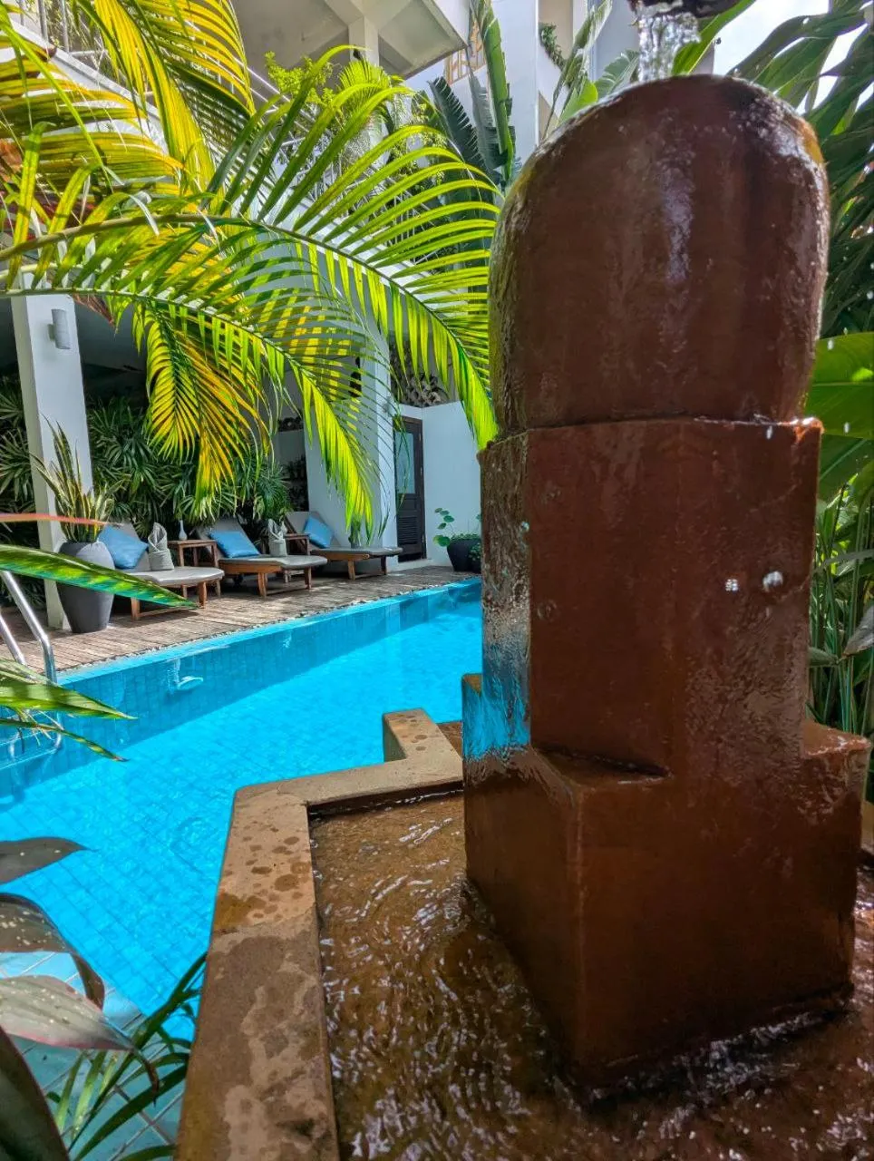 Garden in Baahu Villa