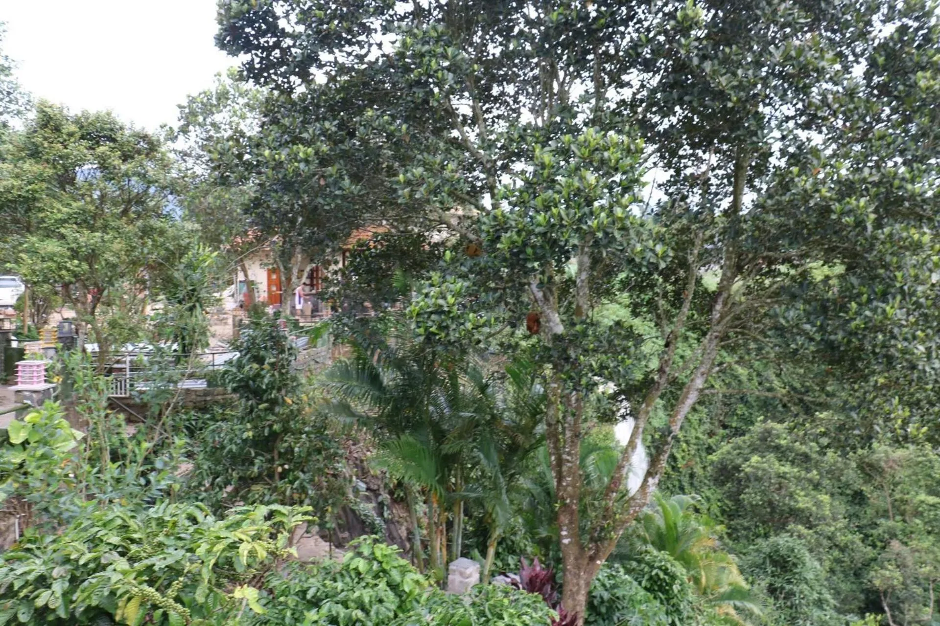 Natural landscape in Ivory Falls Villa