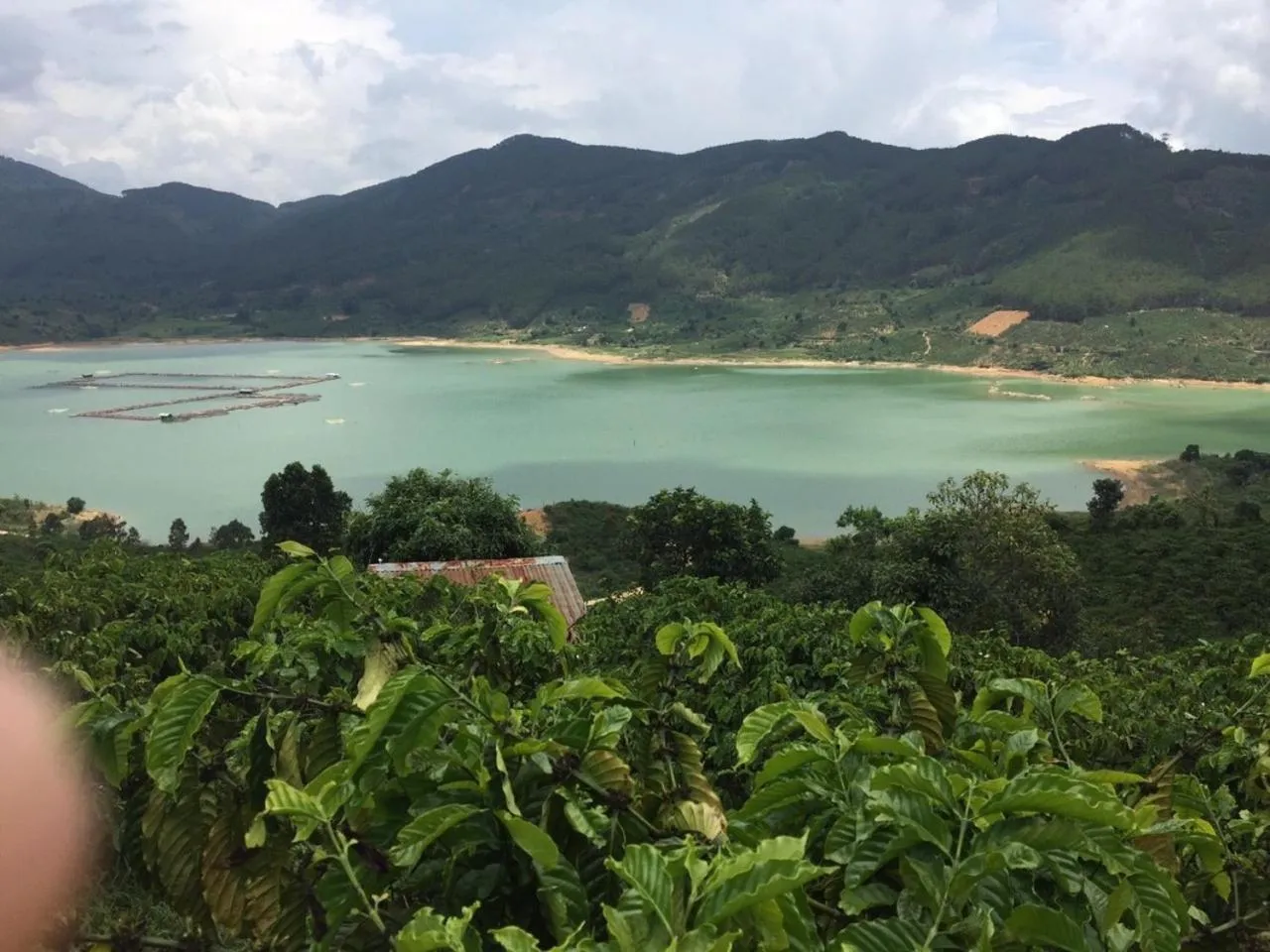 Natural landscape in Ivory Falls Villa