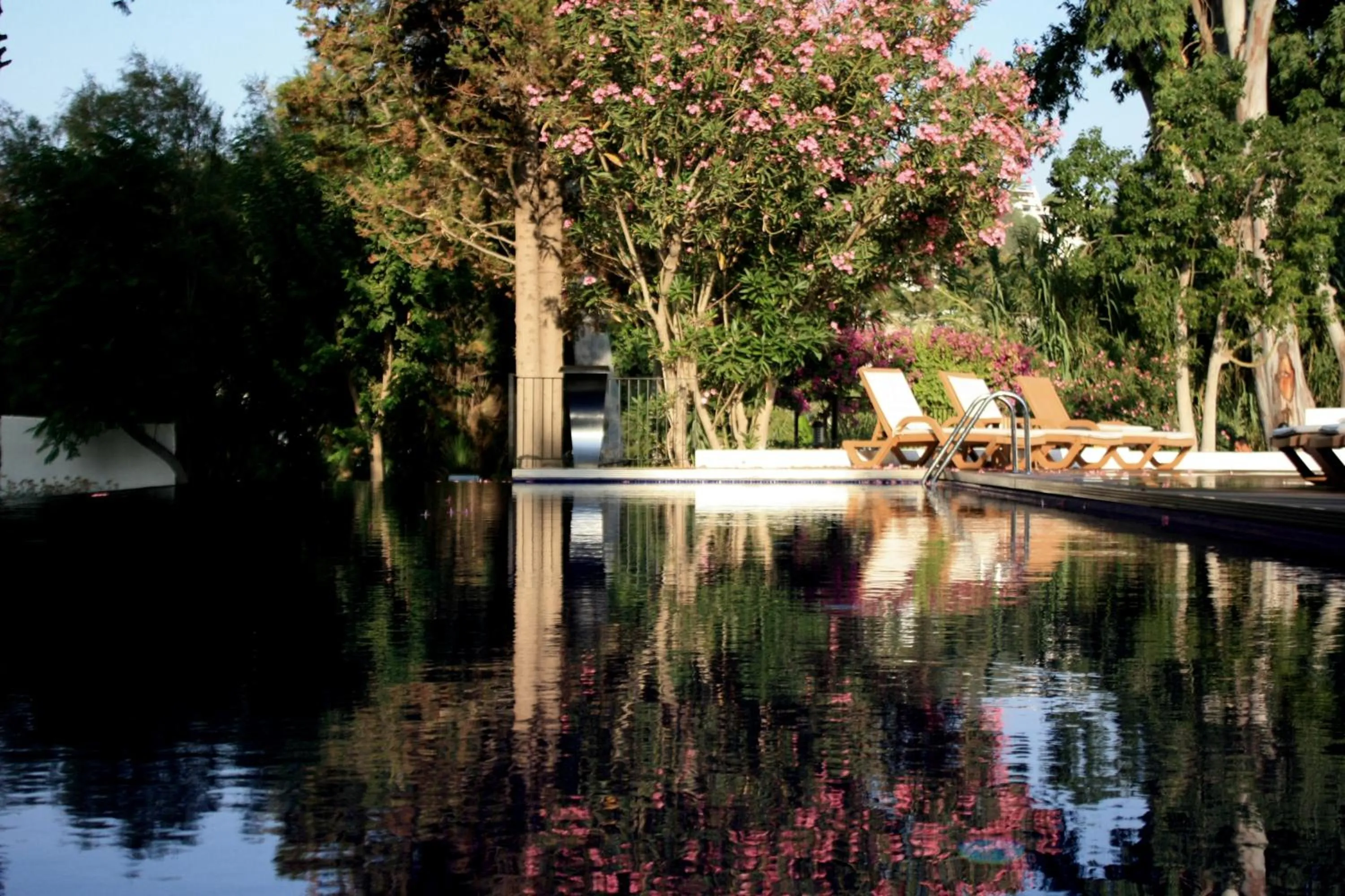 Beach in LIV Hotel by Bellazure