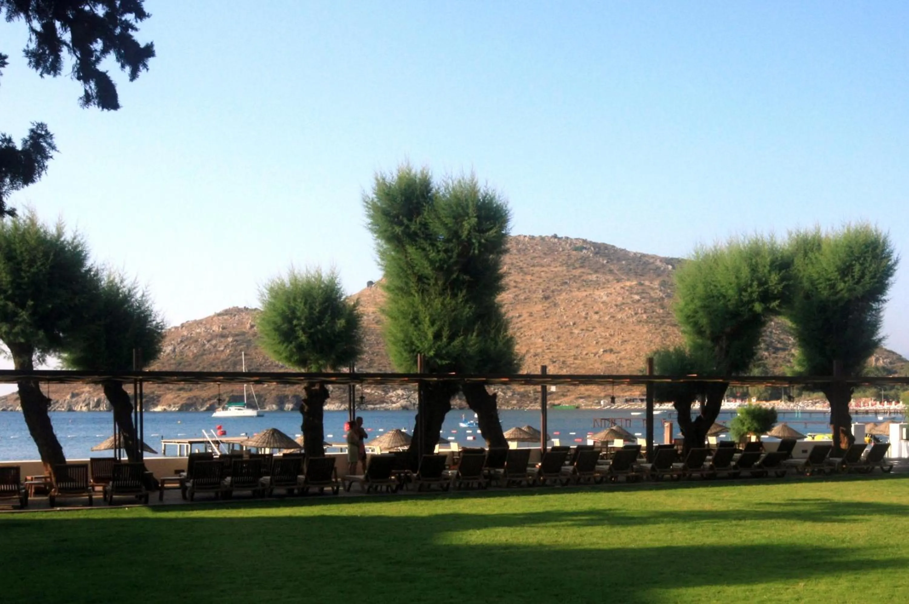 Garden in LIV Hotel by Bellazure