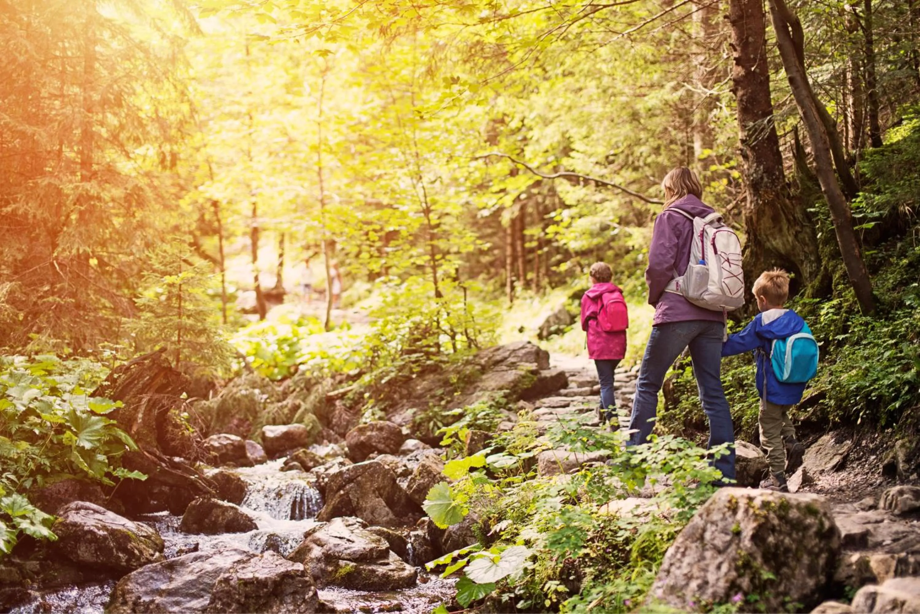 Hiking in Hotel Christoph