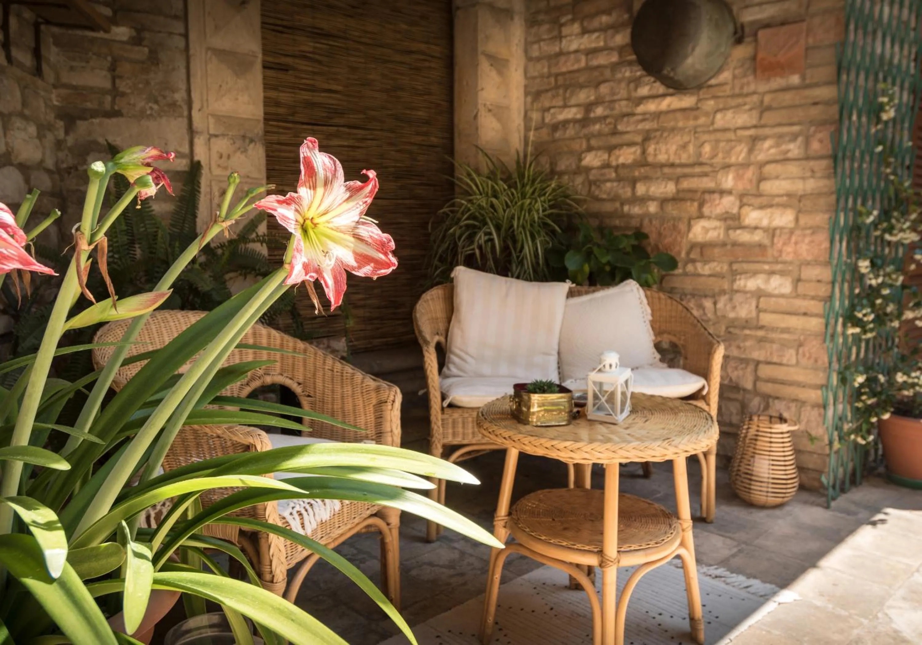 Patio in Brunelli B&B