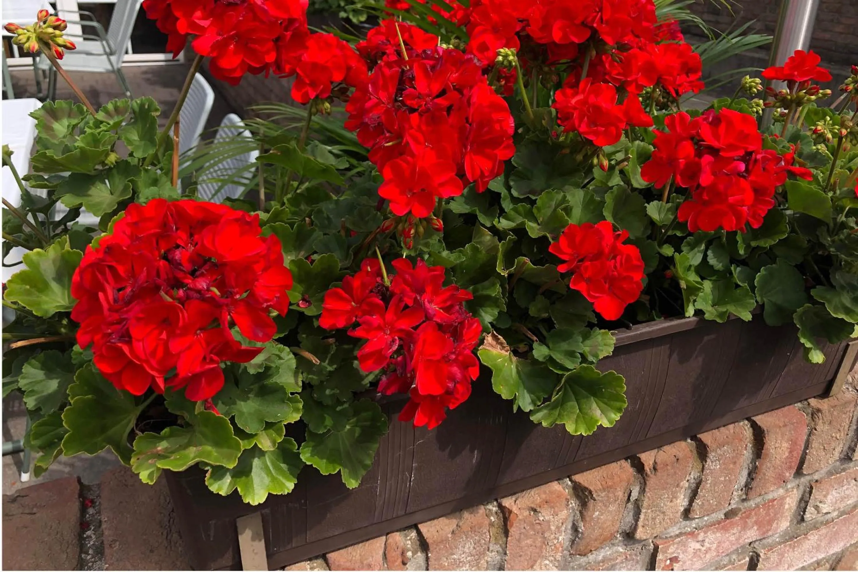 Property building in Haus Schönewald