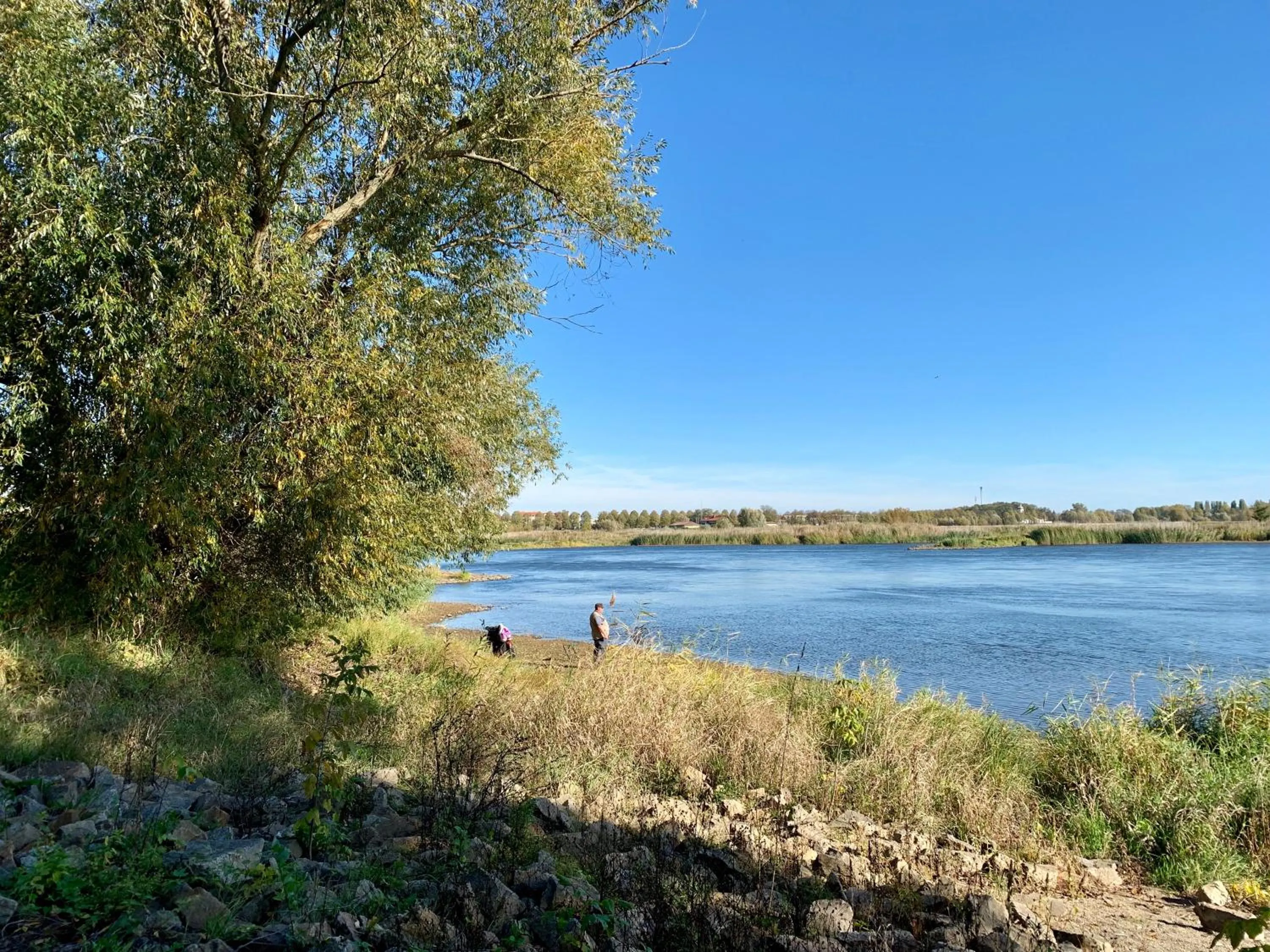 Natural landscape in Viadrina Rooms & Apartments Frankfurt-Oder am Park im Zentrum