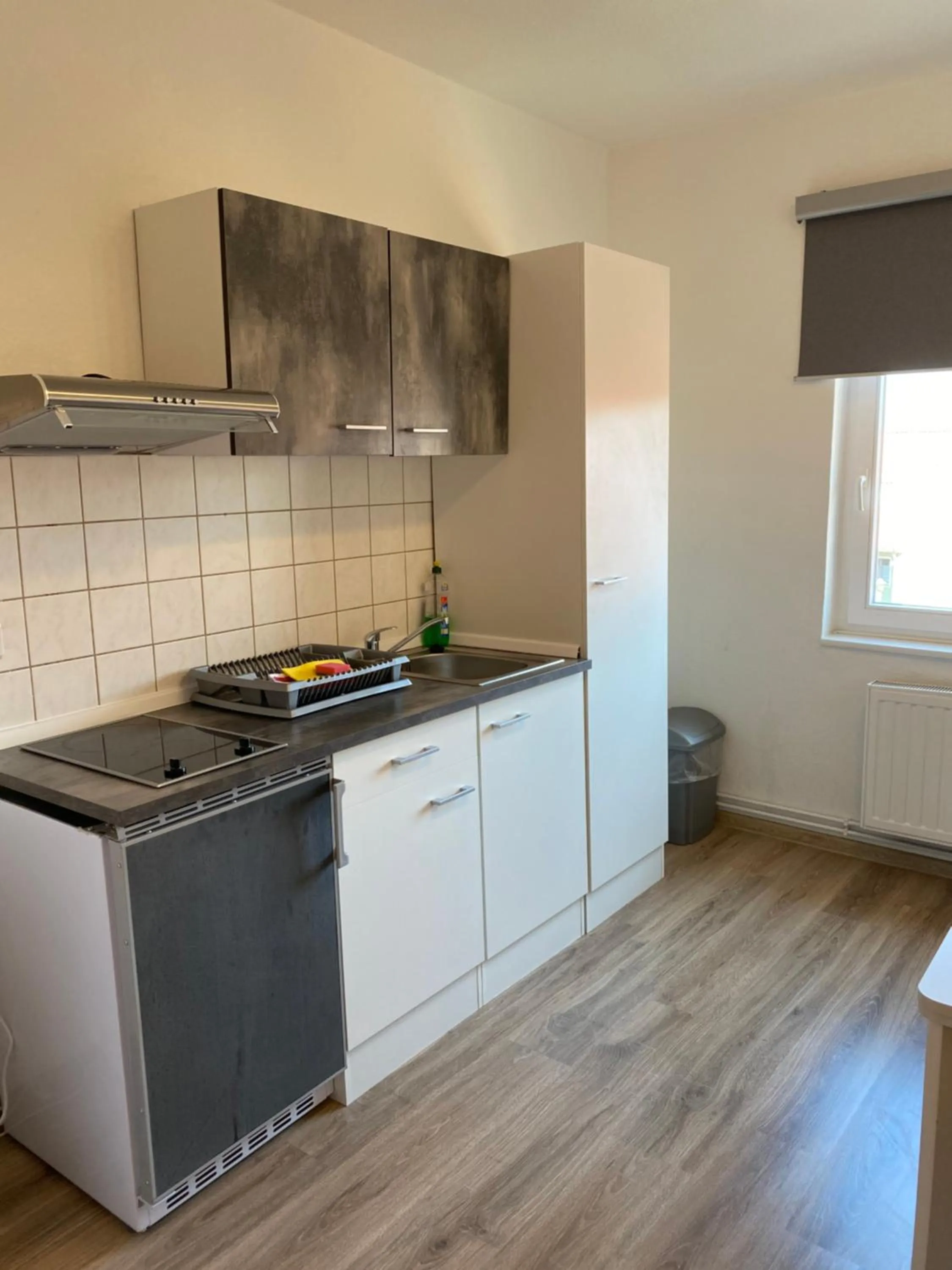 Viadrina Rooms & Apartments Frankfurt-Oder am Park im Zentrum